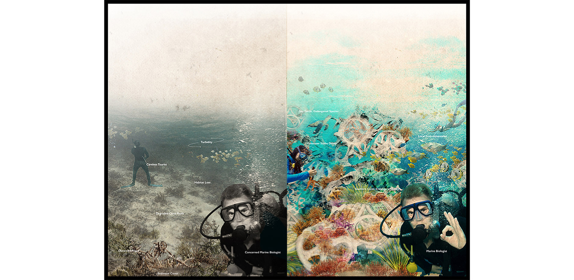 The rendering shows a before-after scene of a coral reef site, using technology and proper design to support coral reef structure and create research …