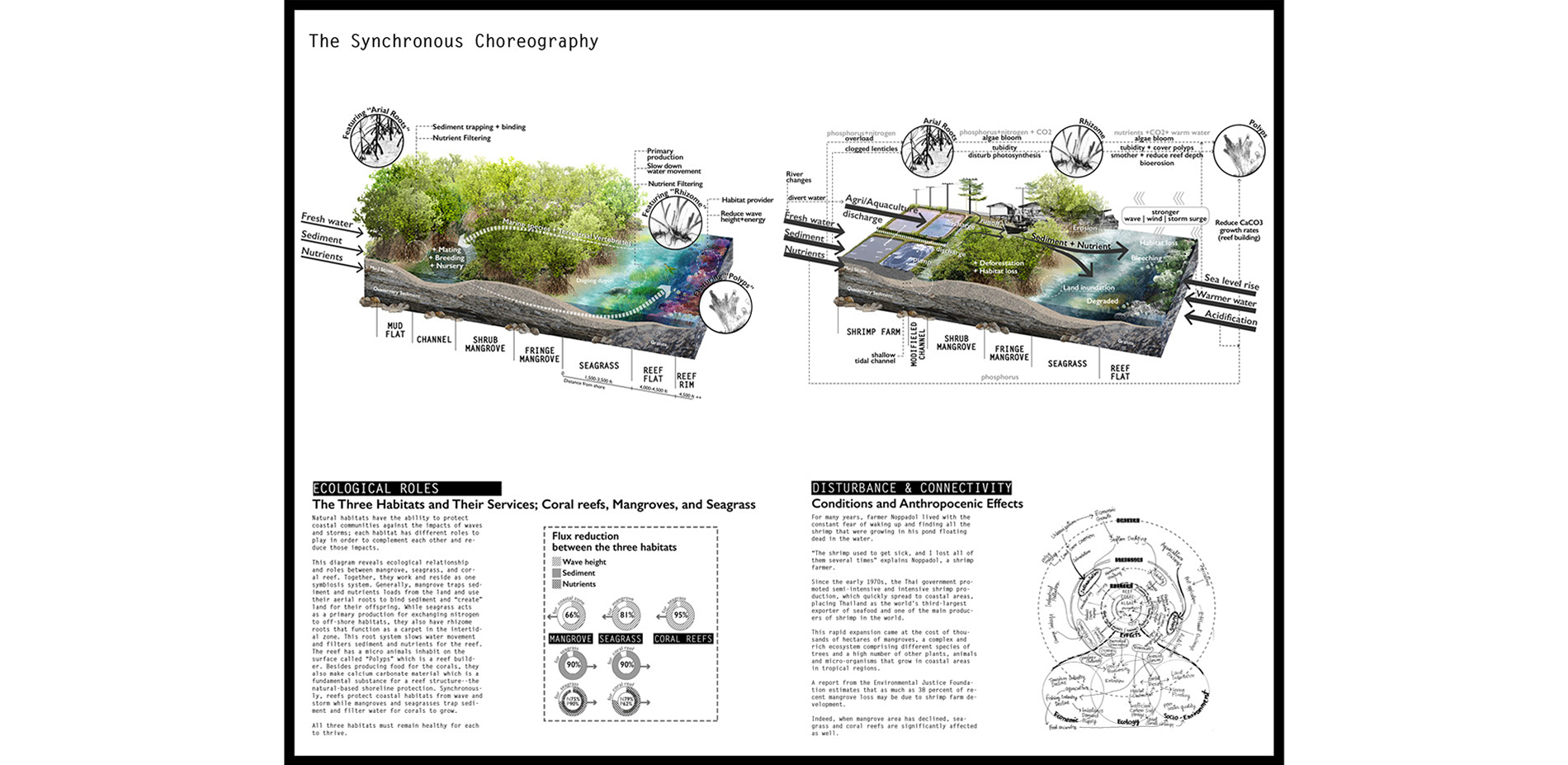 The linked coastal habitats have the ability to protect coastal communities against the impacts of storms and waves, but with human disturbance such a…