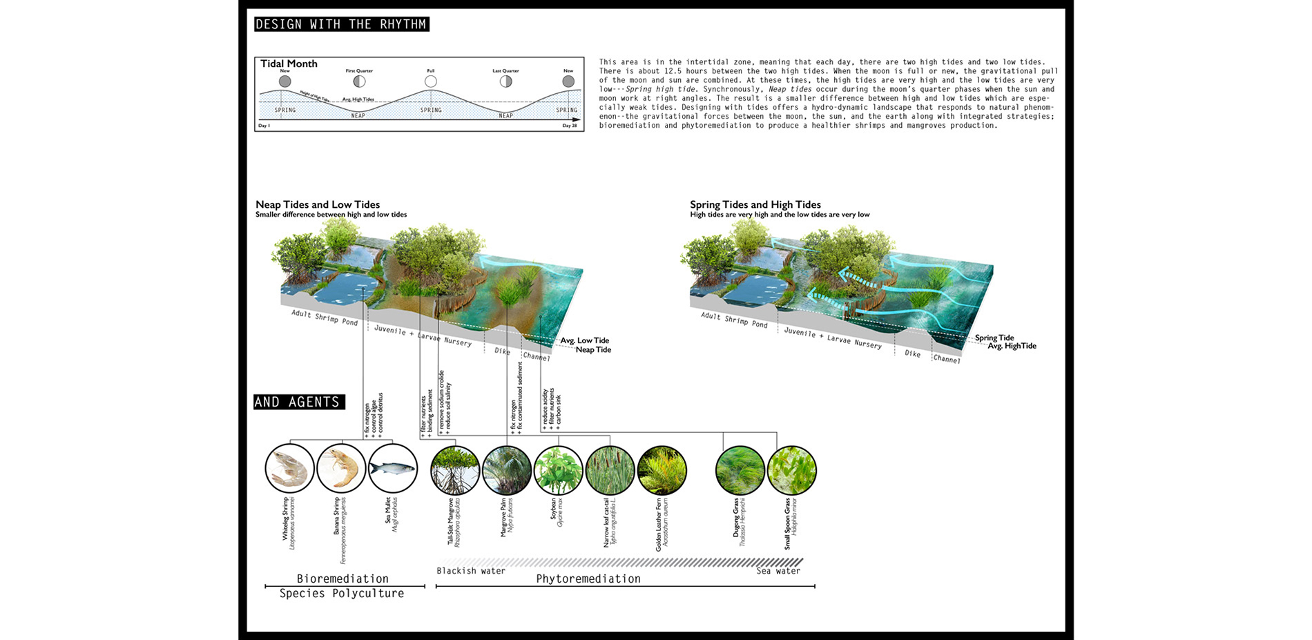 Designing with the rhythm of tides, the synergetic landscape can perform its operation synchronously with the natural forces of the ocean, in partners…