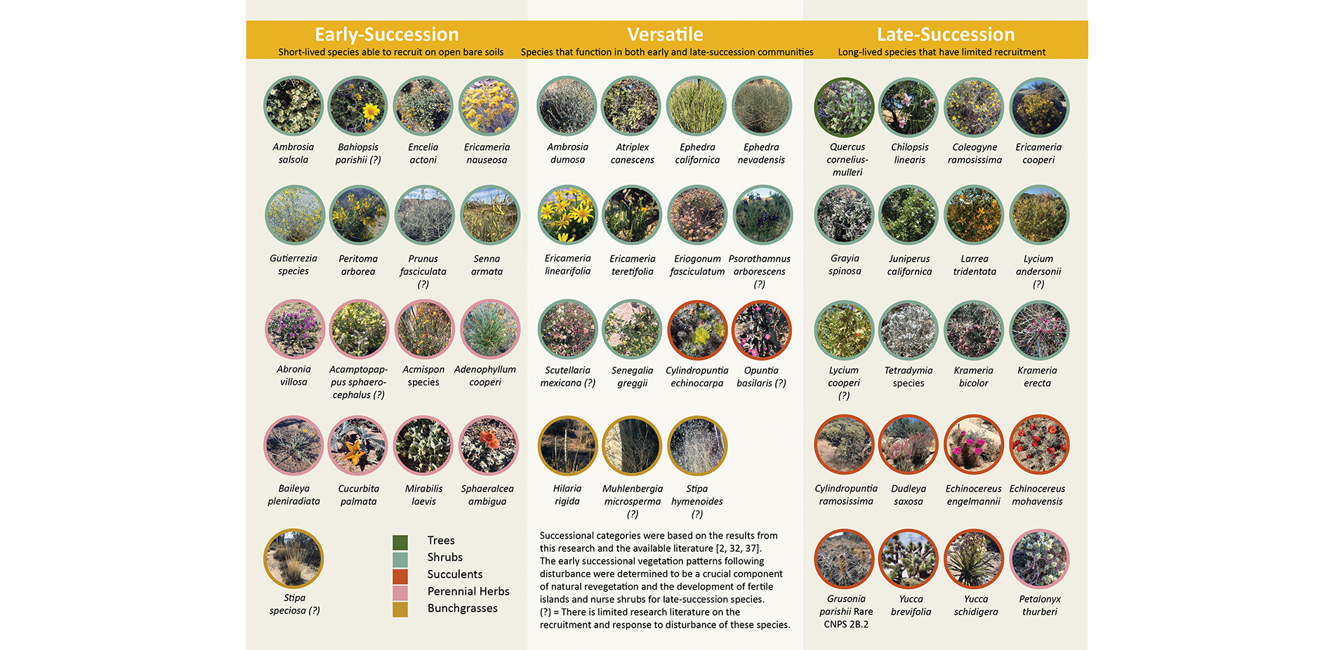 Vegetation species were grouped into three categories based on this research and available literature to describe their response to disturbance and ro…