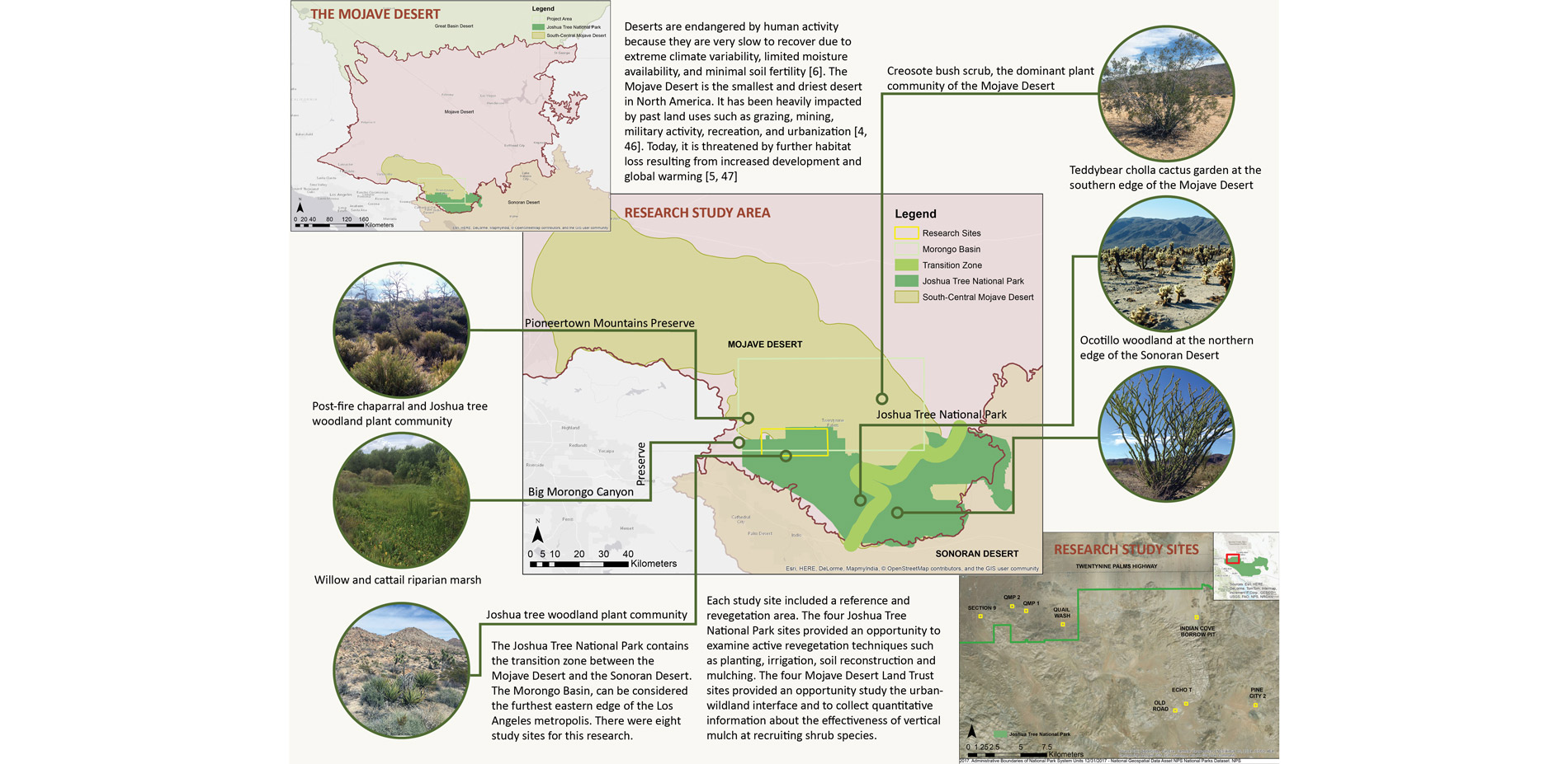 Urbanizing the Mojave