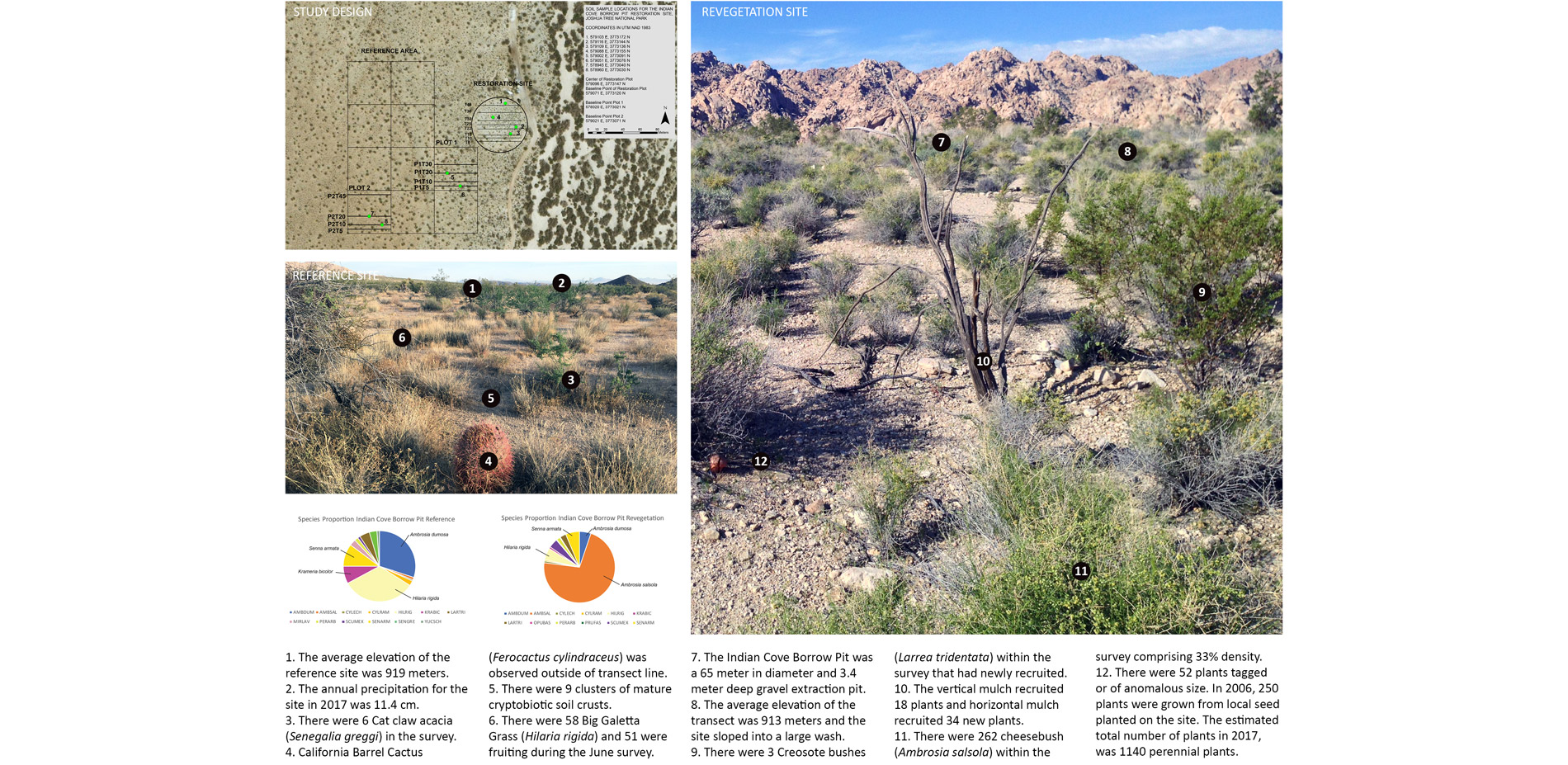 Indian Cove Borrow Pit revegetation site was restored by the National Park in 2005 with outplanted container stock and drip irrigation.…