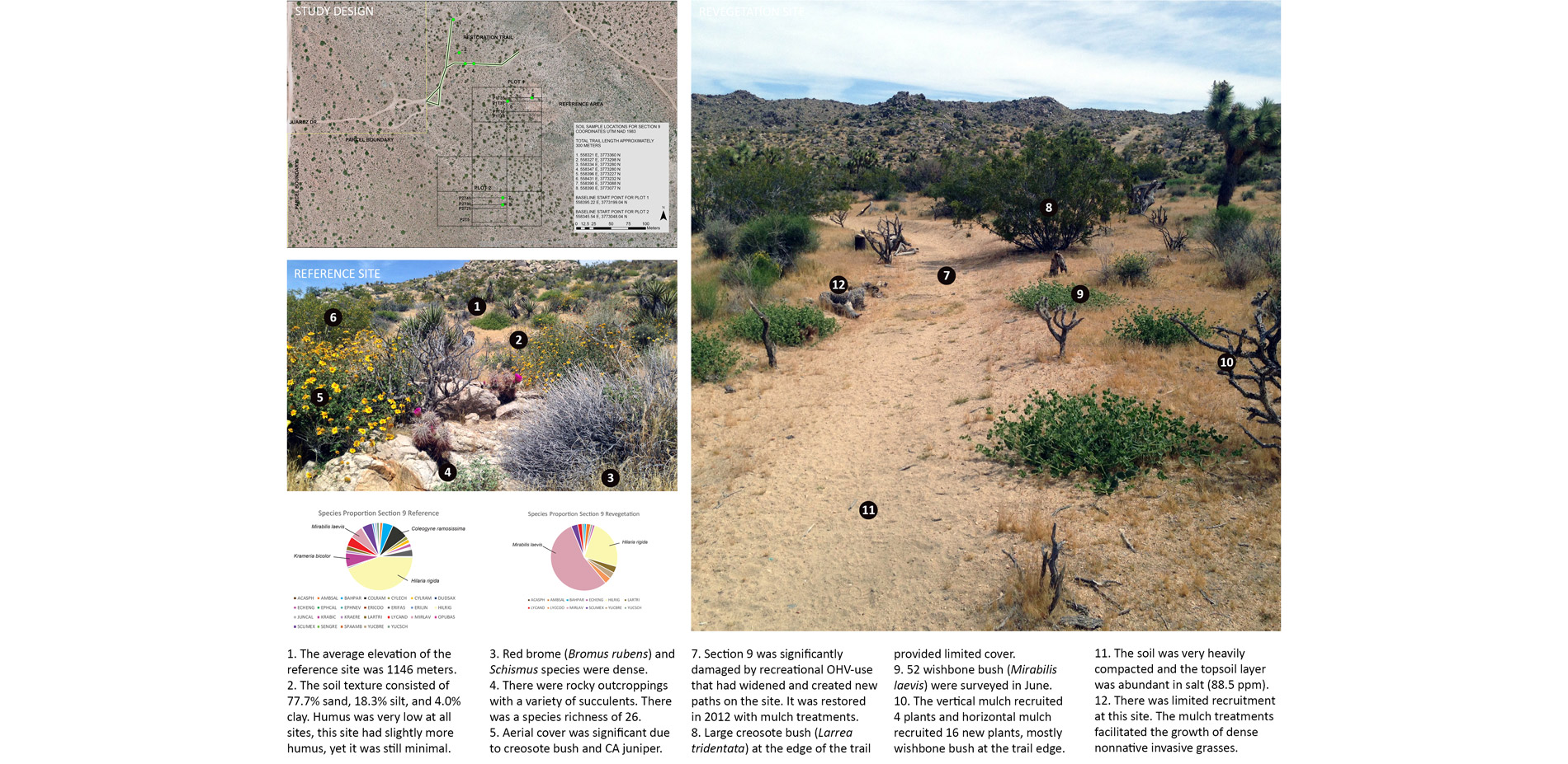 Section 9 revegetation site was restored in 2012 with mulch treatments by the Mojave Desert Land Trust.…