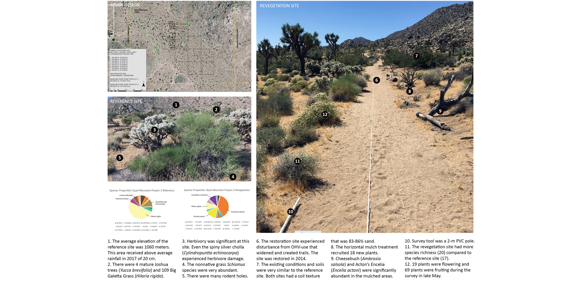 Quail Mountain Project 2 revegetation site was restored in 2014 with mulch treatments by the Mojave Desert Land Trust.…