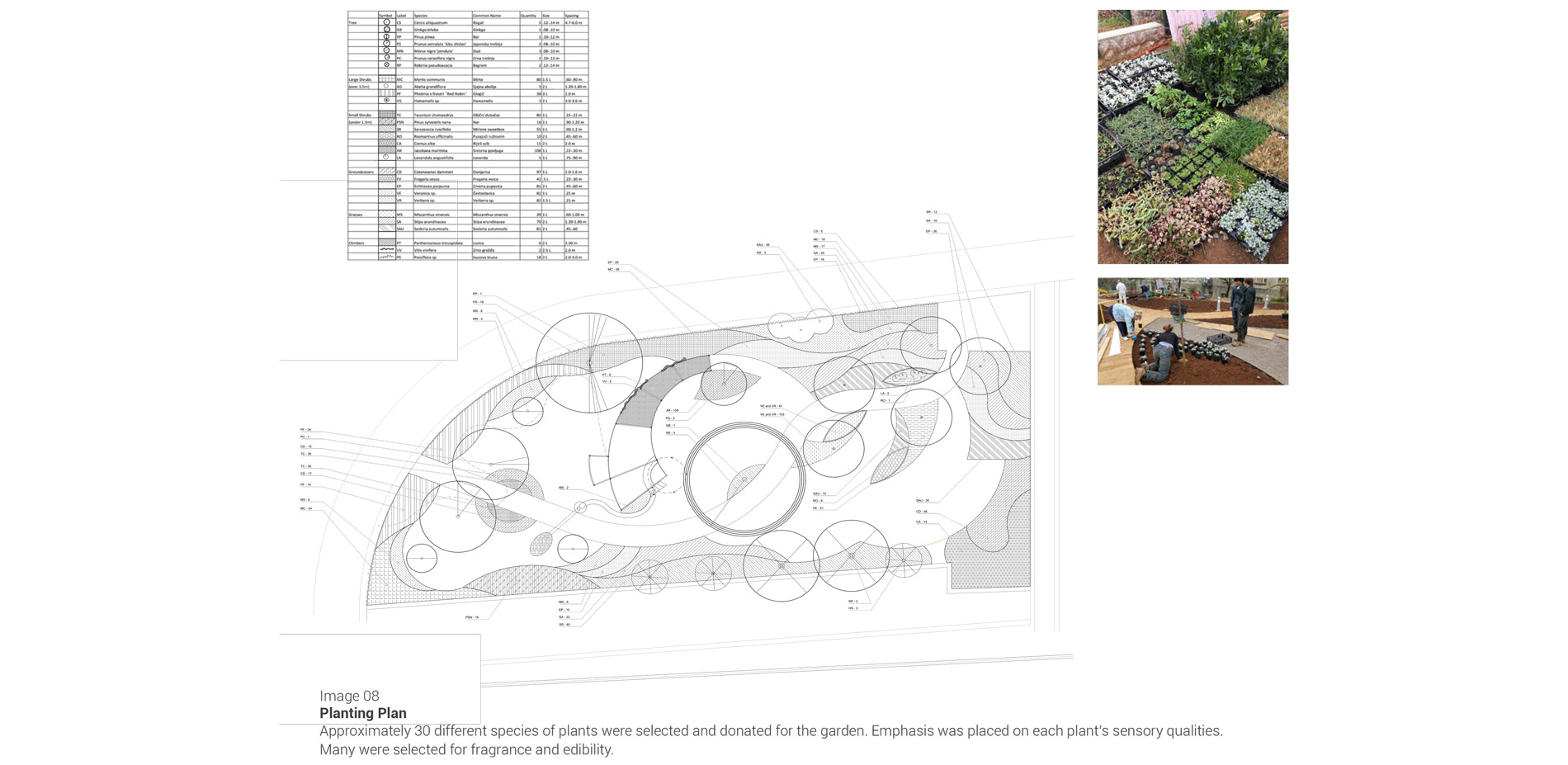 Approximately 30 different species of plants were selected and donated for the garden. Emphasis was placed on each plant’s sensory qualities. Many wer…