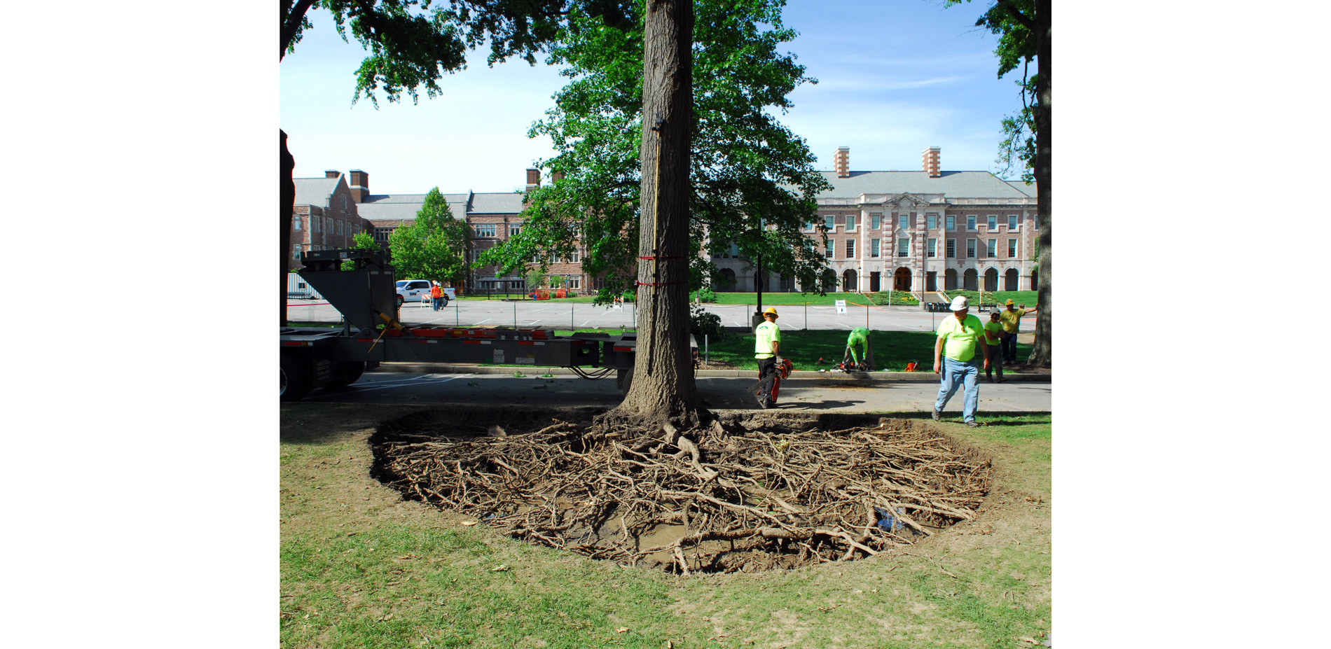 On the tree-lifting day we worked with a daylighting company to excavate the entire root deck of the One Tree. Secured by the crane, visitors were inv…