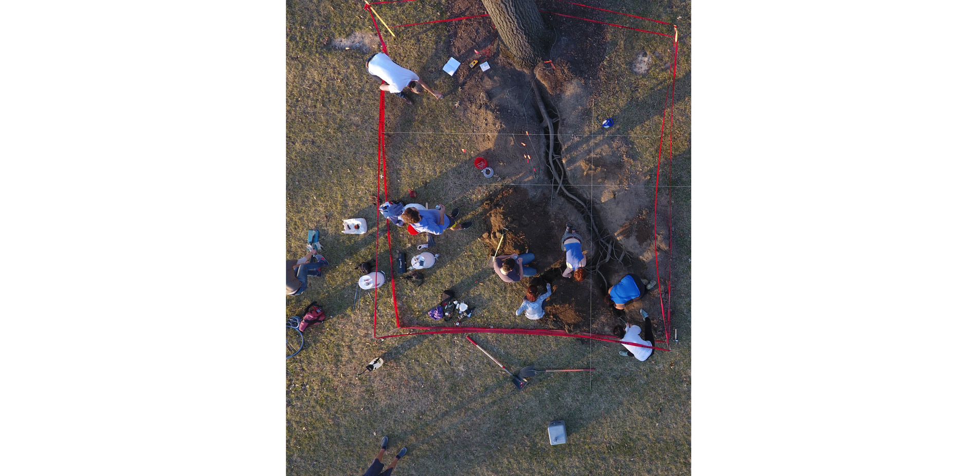 The One Tree project took the territory of the tree as its classroom. Our explorations uncovered a previously unseen domain of root extents, microbial…