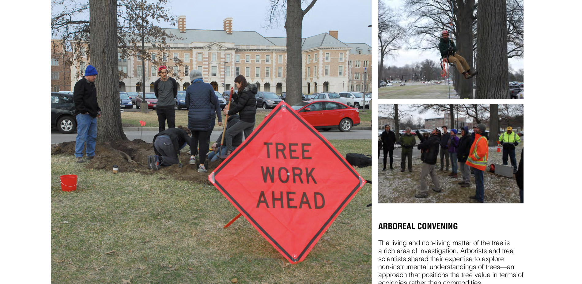 The living and non-living matter of the tree is a rich area of investigation. Arborists and tree scientists shared their expertise to explore non-inst…