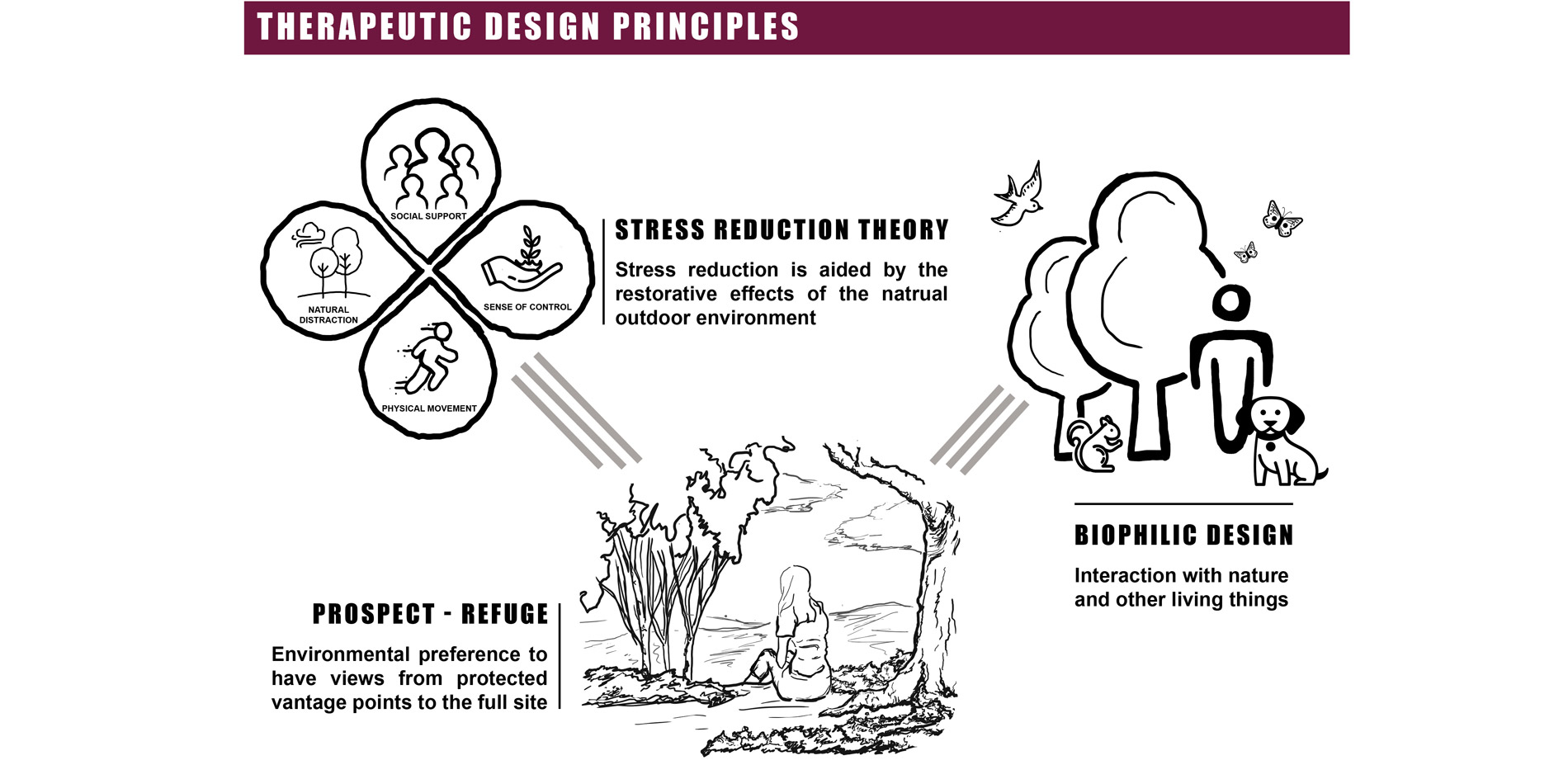 Connections to nature are vital to our survival and psychological wellness, reducing stress in the users. The garden helps to reduce stress in an othe…