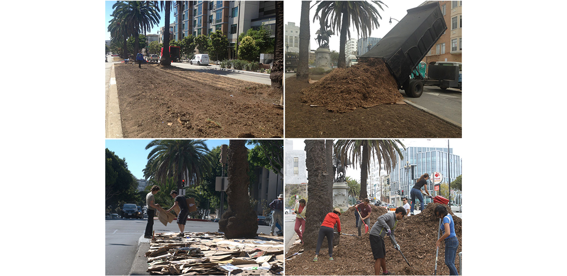 With the dead turf and invasives scraped off, nearby businesses donated recycled carboard to be laid down in a thick base layer. A local green-waste c…