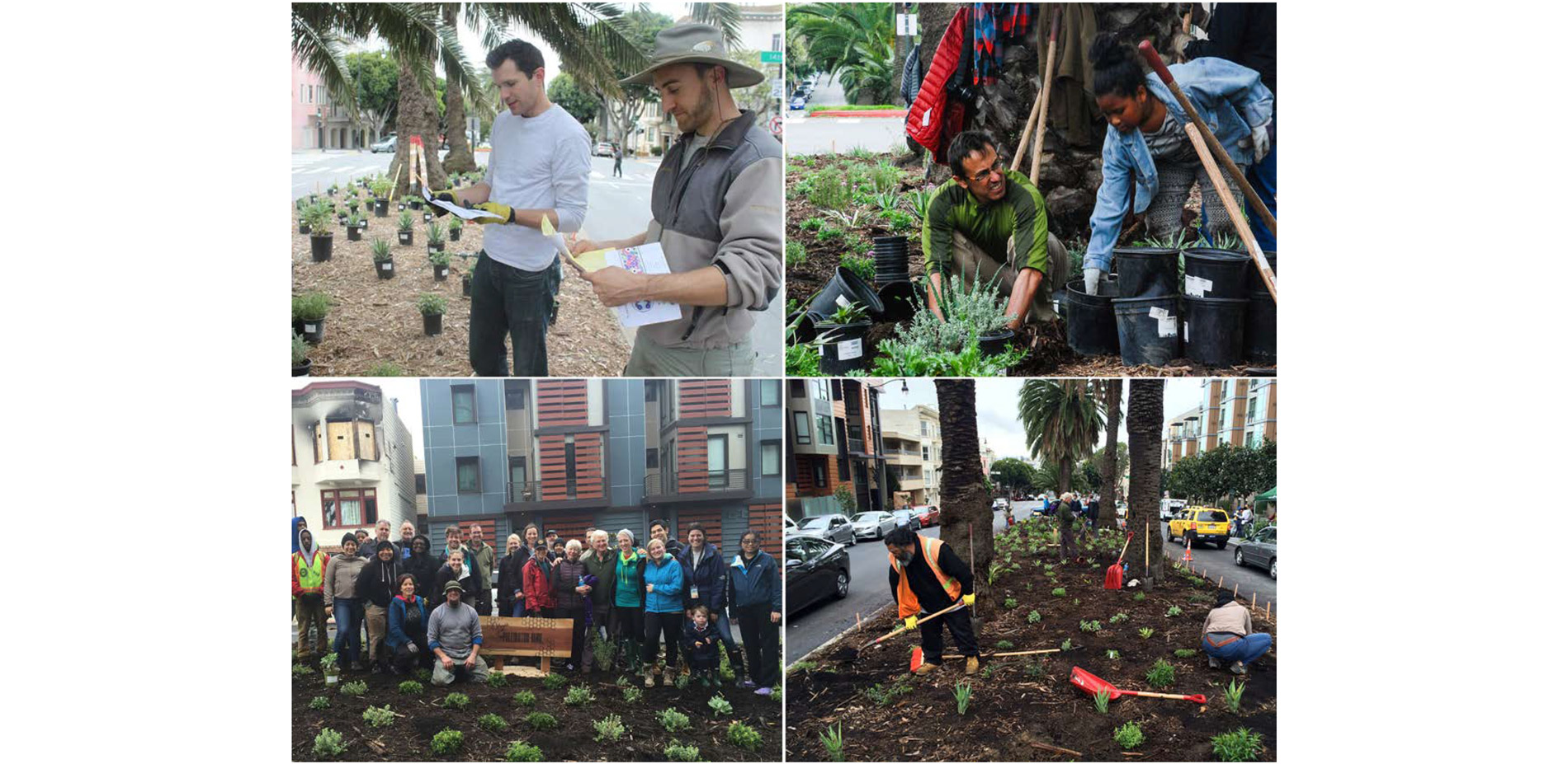 Using grant funded plant purchases, the selections were delivered and installed on volunteer workdays. Members of the community came out to share in t…