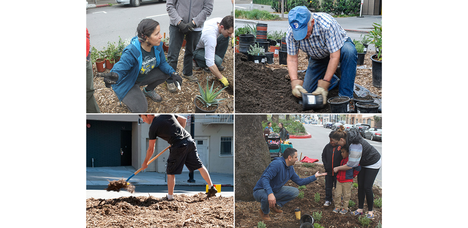 Children and adults alike have returned to our organized volunteer workdays to offer feedback, help prepare and plant the medians, and do quarterly ma…