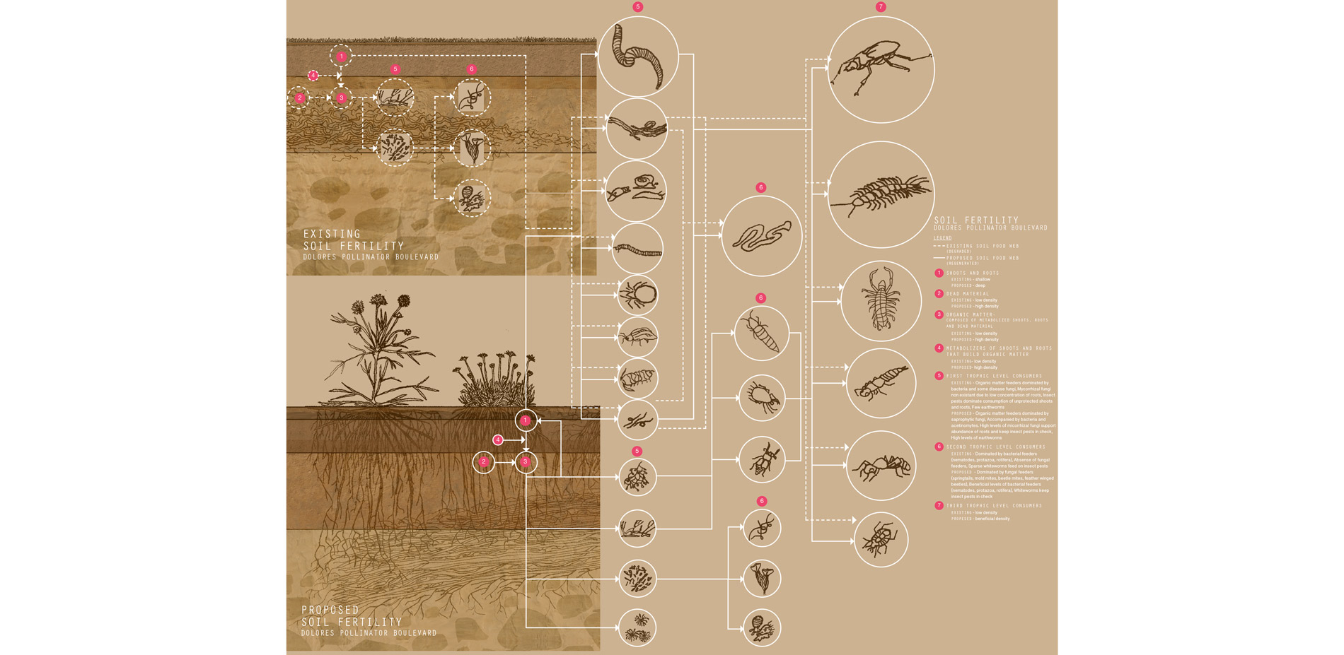 Soil high in organic matter ensures adequate nutrient and water distribution to plantings and allows a dynamic system of invertebrates, bacteria, and …