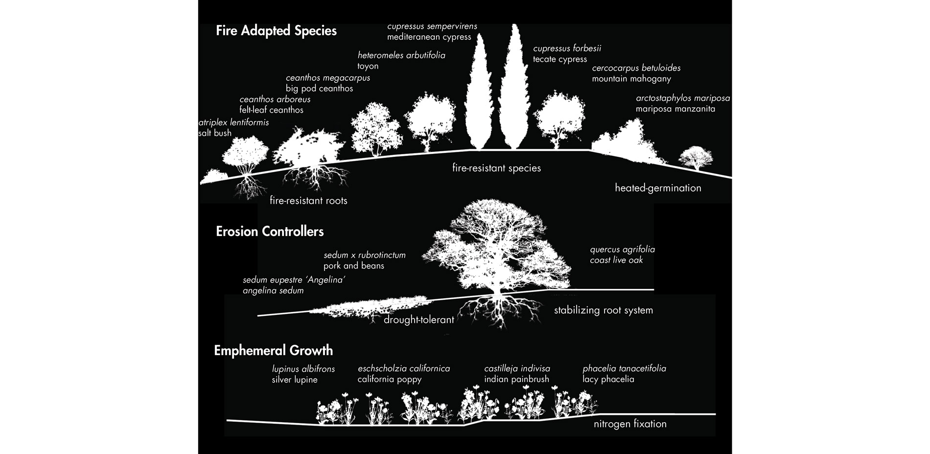 A variety of plant species are fire-adapted and provide additional ecosystem services.…