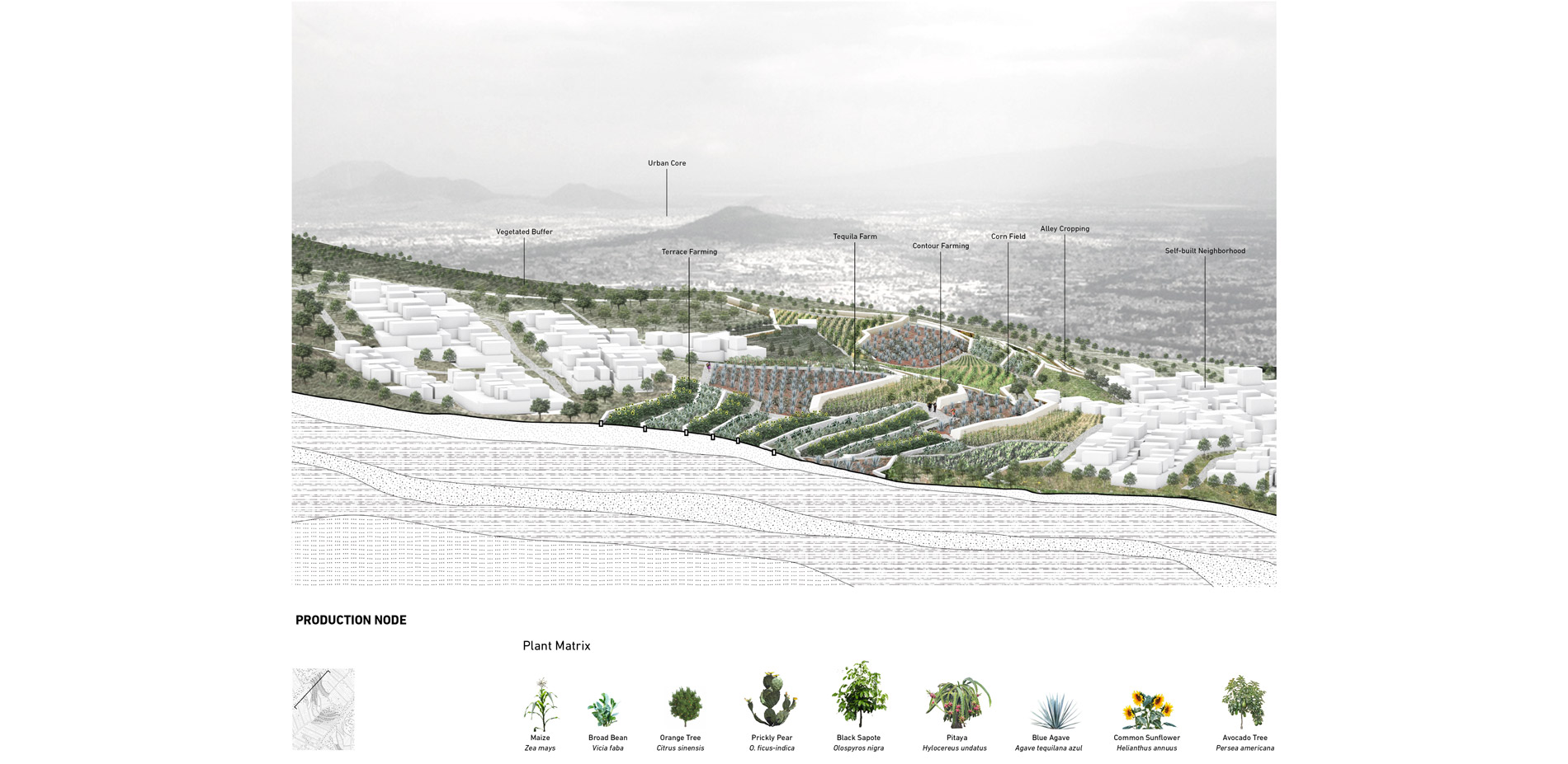 This shows the productivity and planting of the crops in the terraces.…