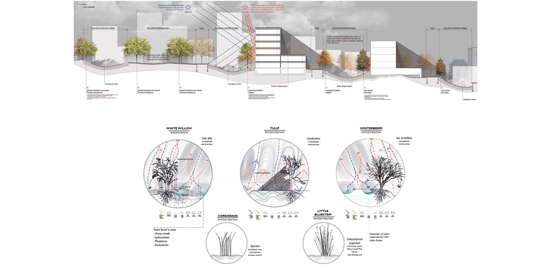 Planting zones interact with flows, site conditions and residential exterior walls. …