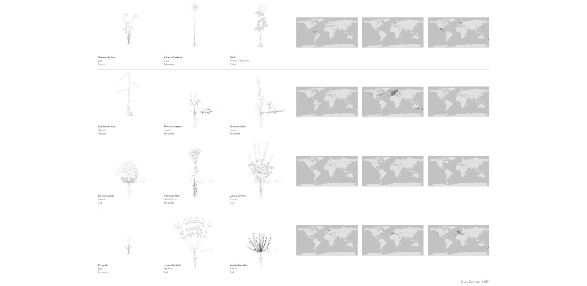 Perennial Examples; Perennial Example Ranges