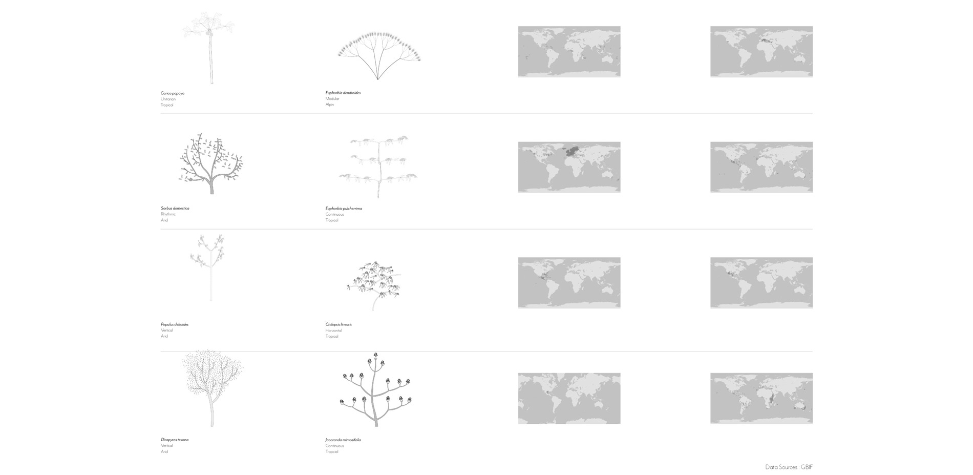 Tree Architecture Examples; Tree Architecture Example Ranges