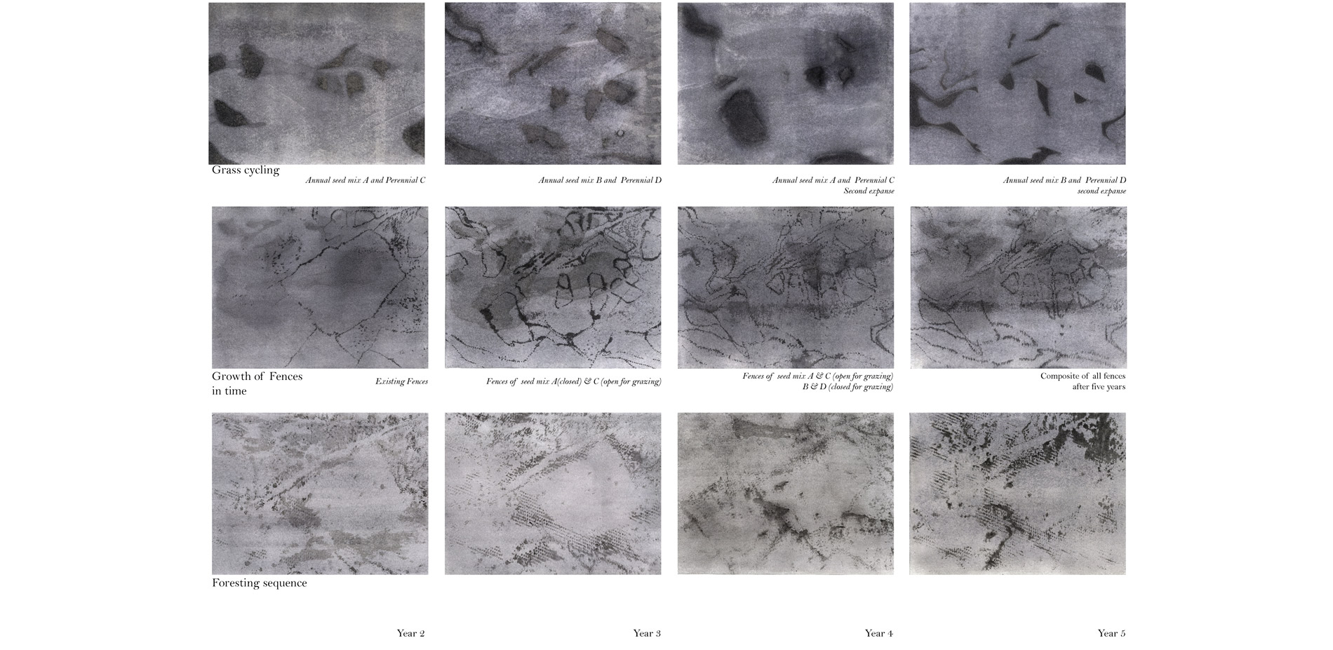 Changes in throughout the five years is anticipated diagrammatically and represented through staining. It is imperative to look through the lens of st…