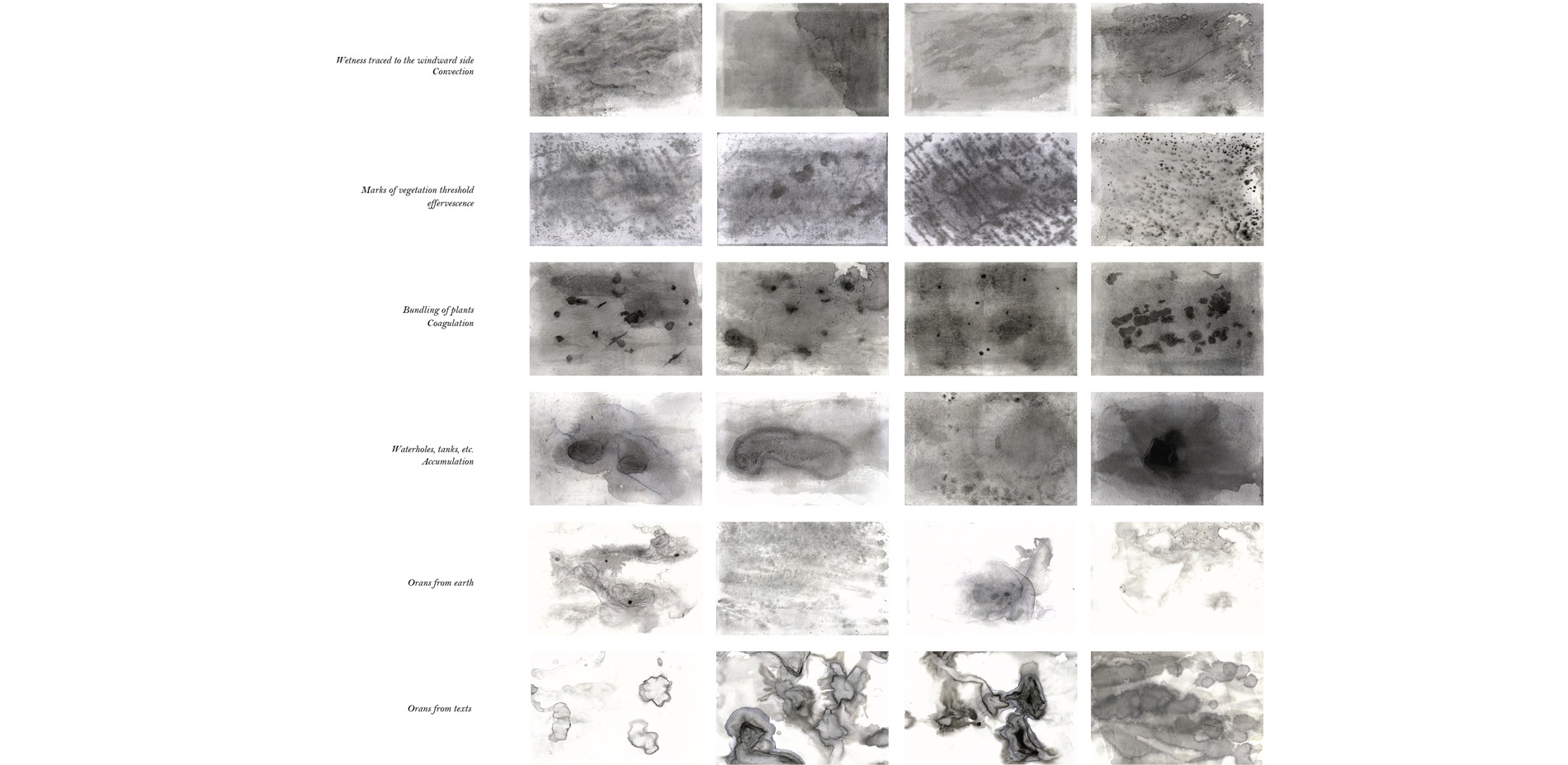 These stains helped to identify marks of vegetation thresholds,
                        fences, clustering of plants in windward side of hills, accumulation of wetness throug…