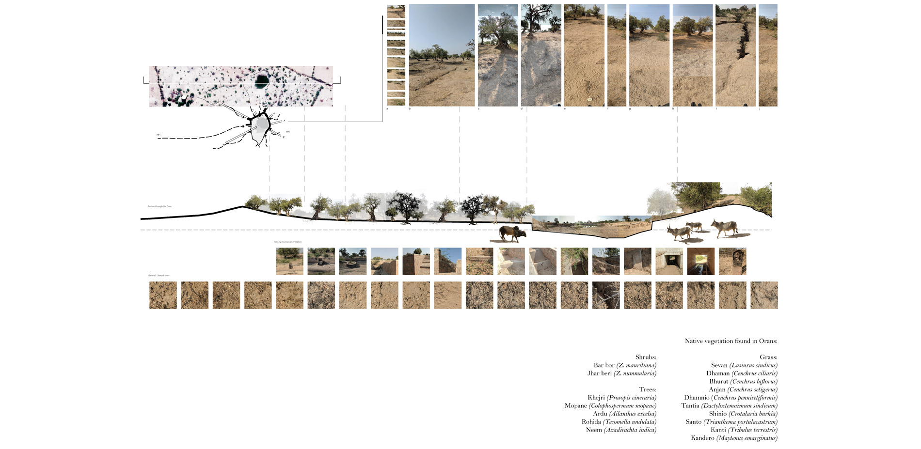 Vanalaya Talab an Oran Example
                                Community forests/rangelands, called Orans and Gauchars in the western arid part of India, constitute a significant pro…