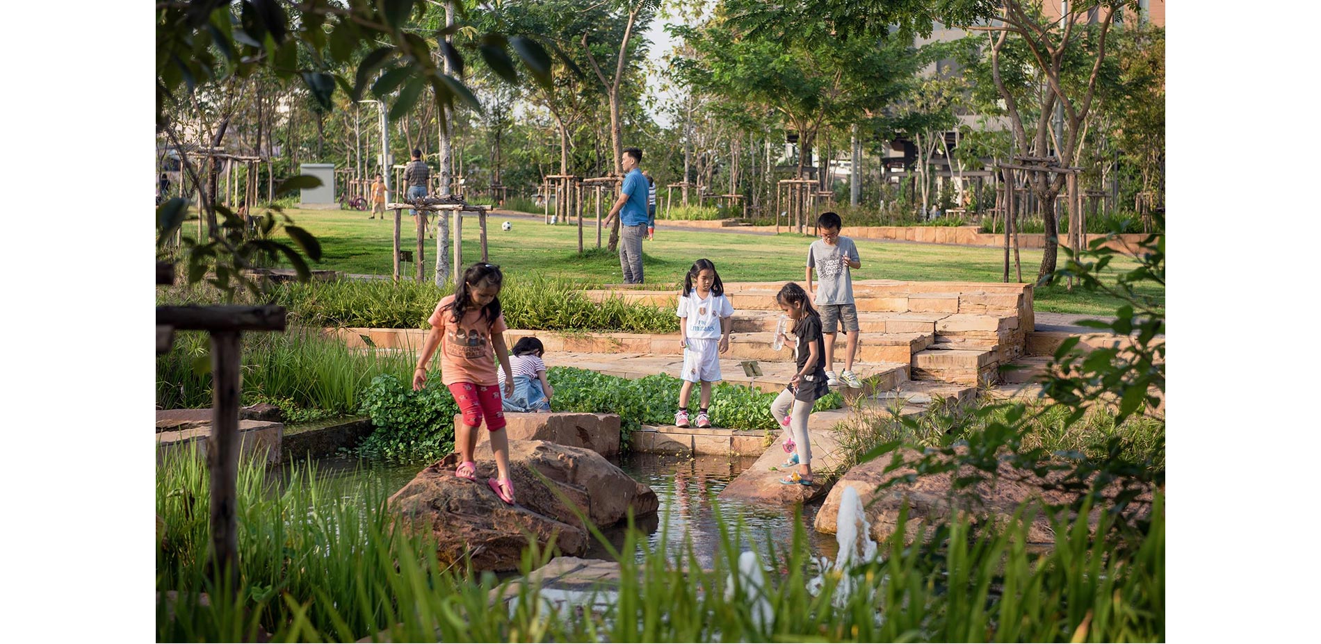 Hidden oasis for kids, birds and insects