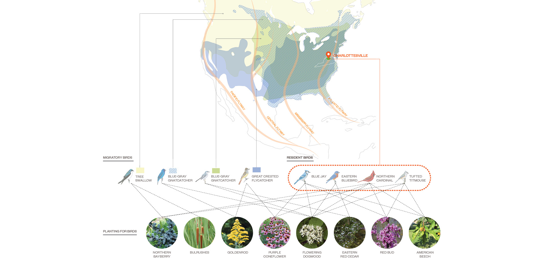 Ecological Context