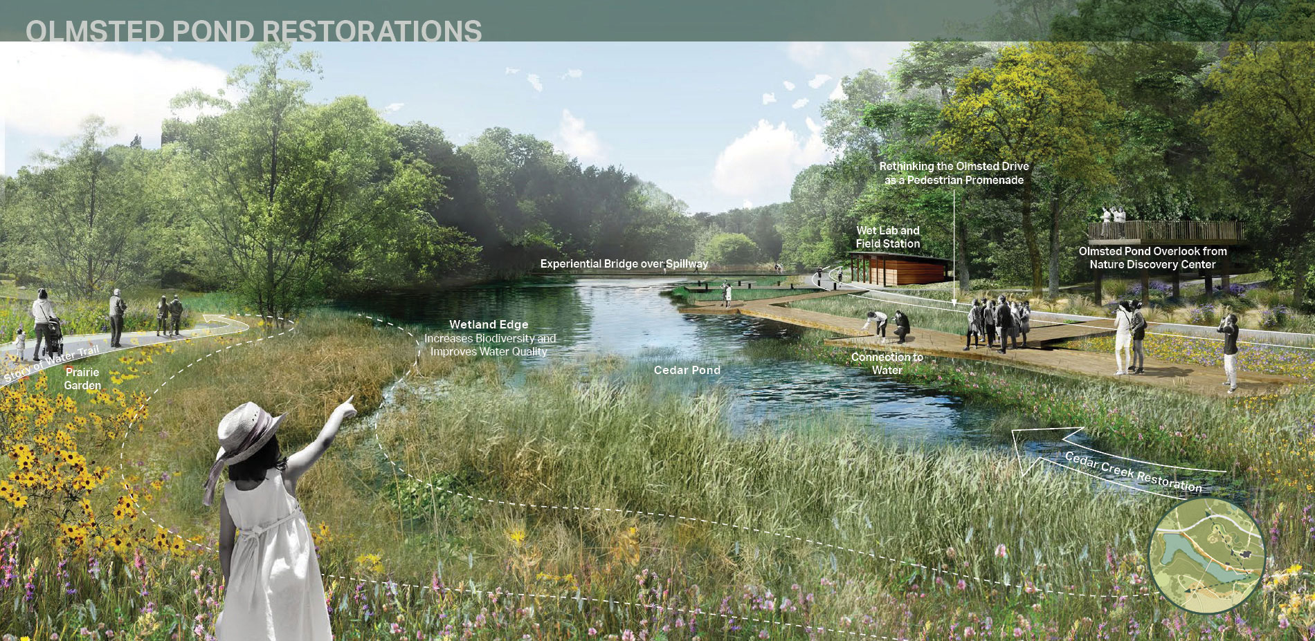 Olmsted Pond Restorations