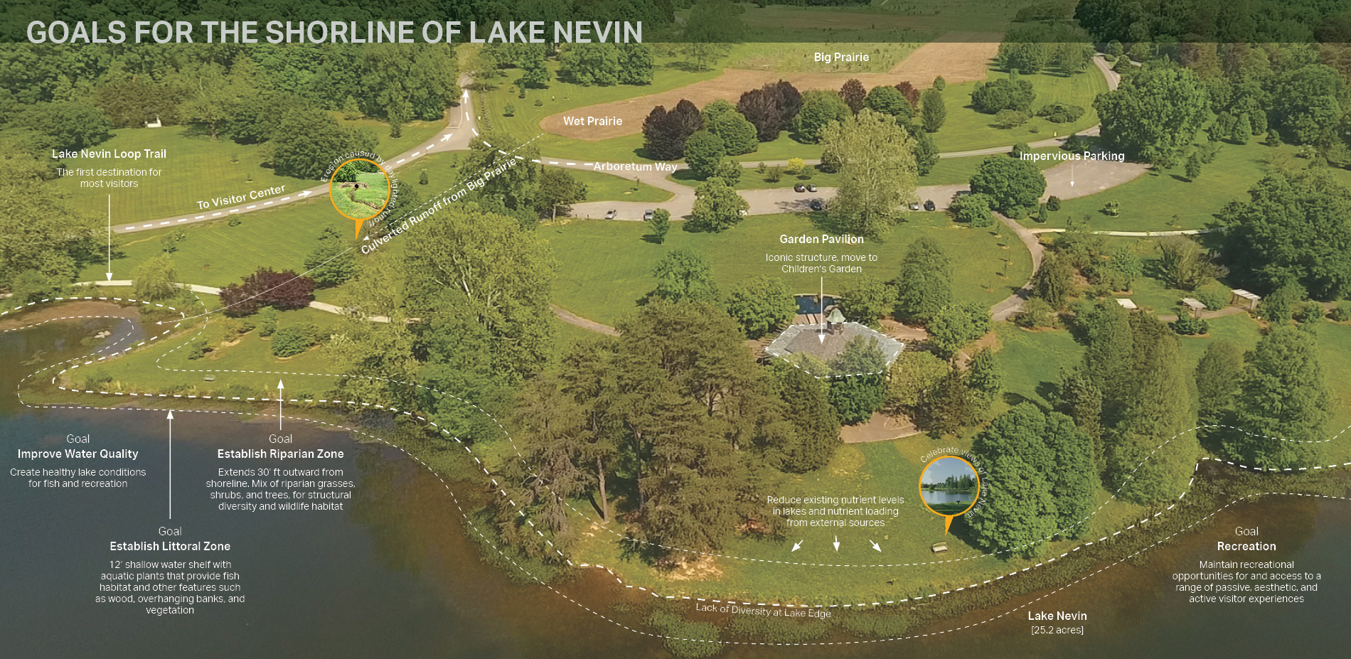 Goals for the Shoreline of Lake Nevin