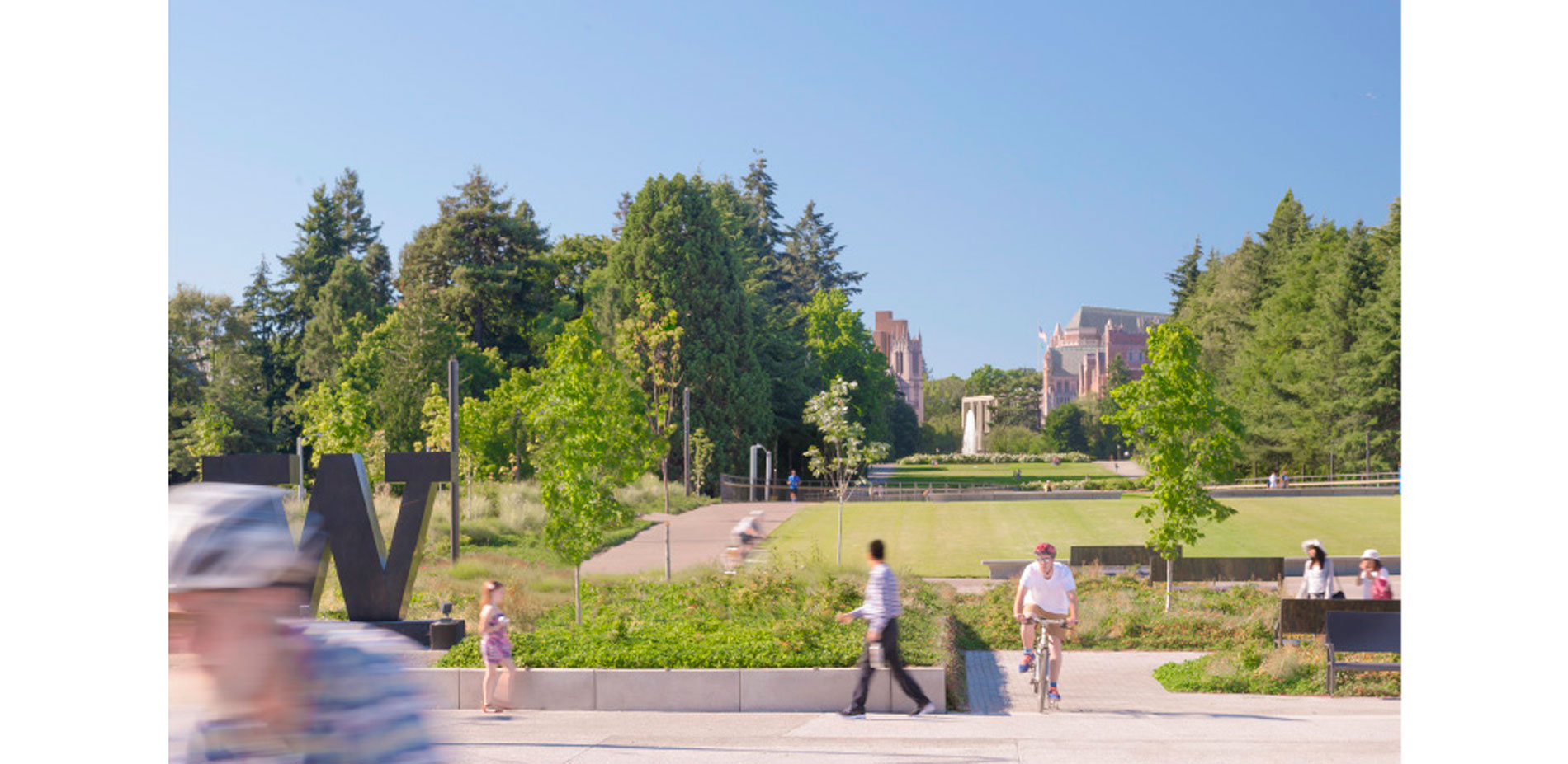 Street level view from Montlake Boulevard looking toward Drumheller Fountain