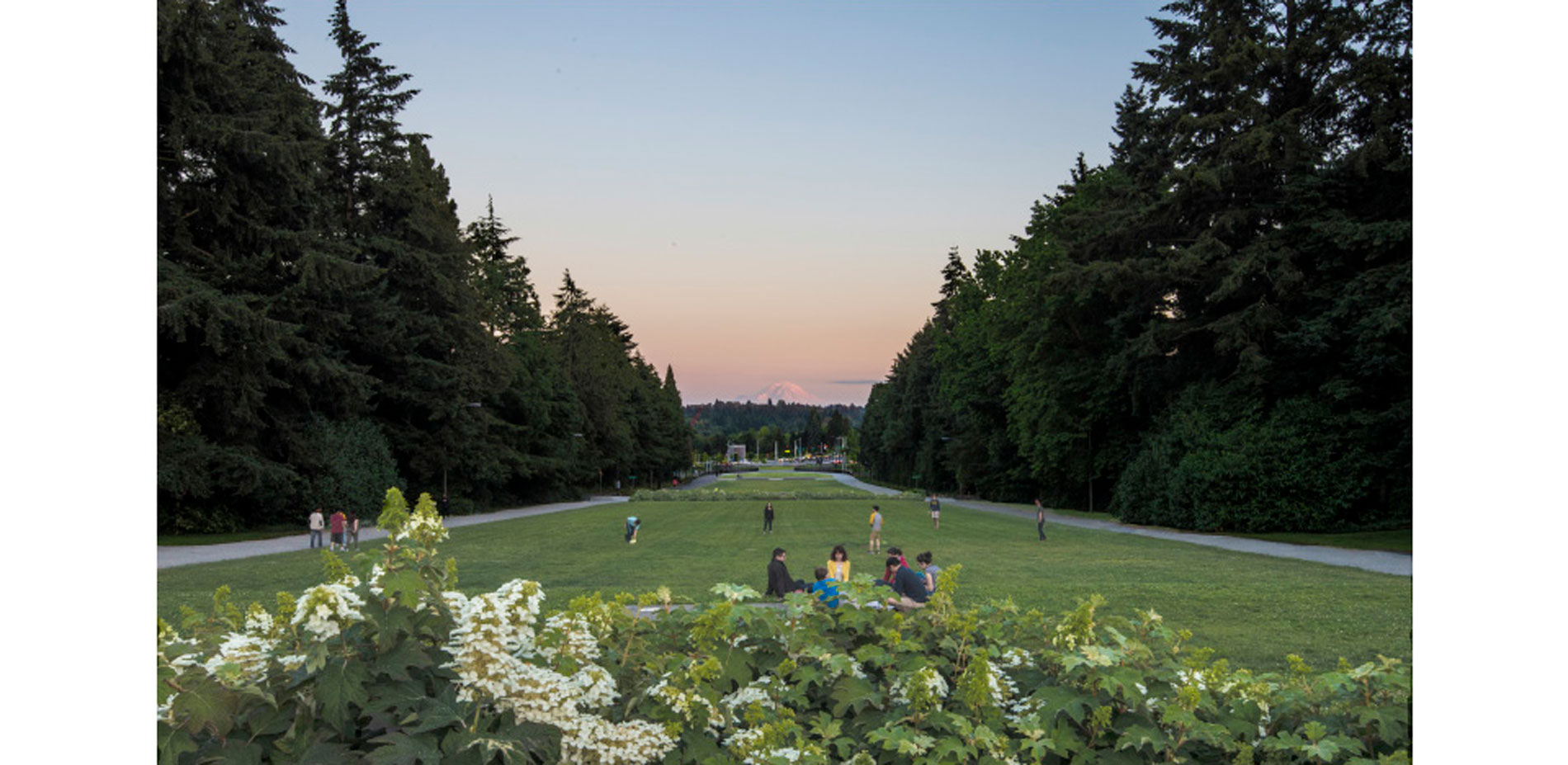 Evening view of Lower Rainier Vista looking toward Mt. Rainier