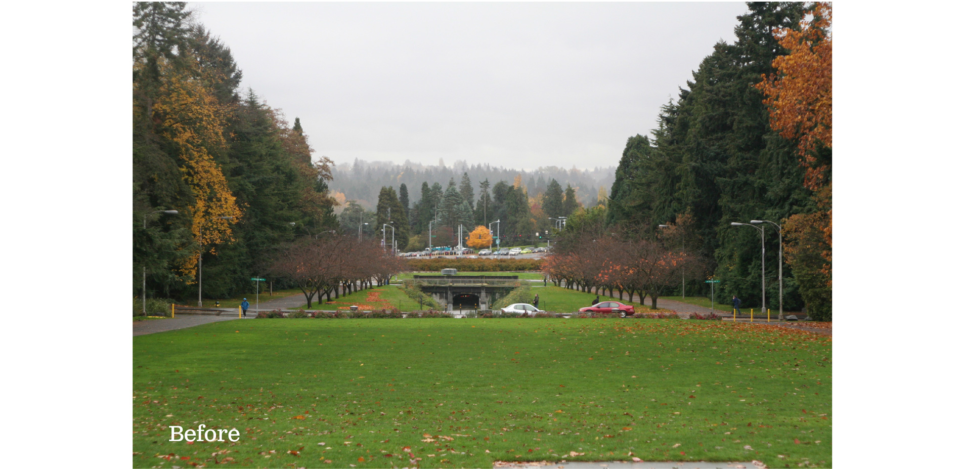 Before view looking toward Mt. Rainier (reference photo taken on an early site visit)