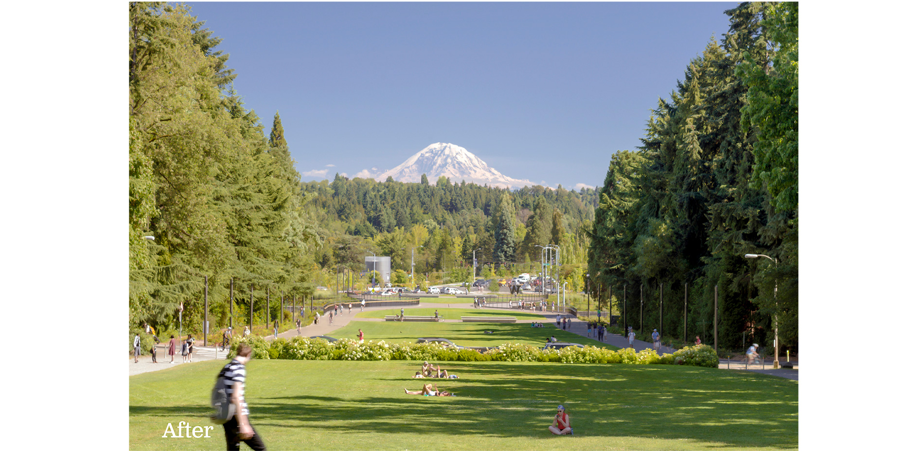 After view looking toward Mt. Rainier 