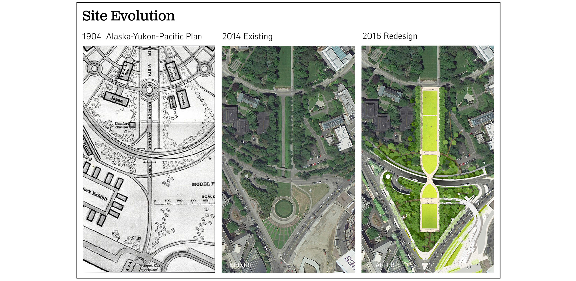 Site Evolution