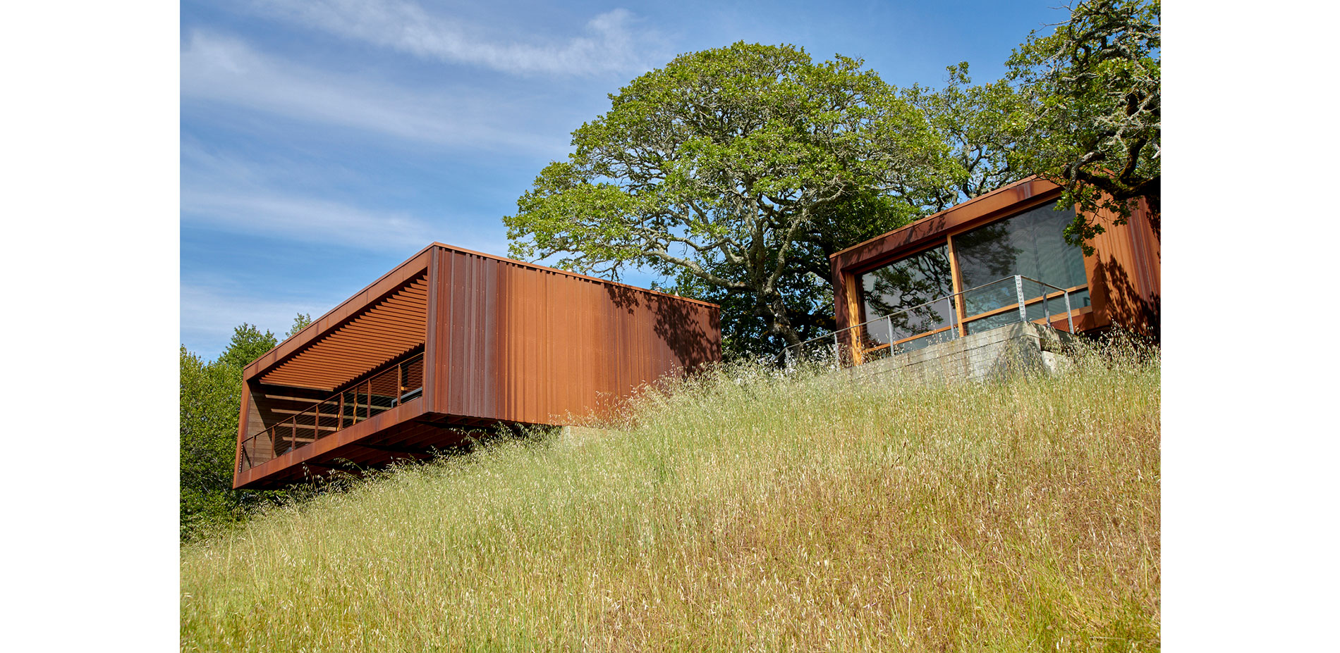 Hillside Planting