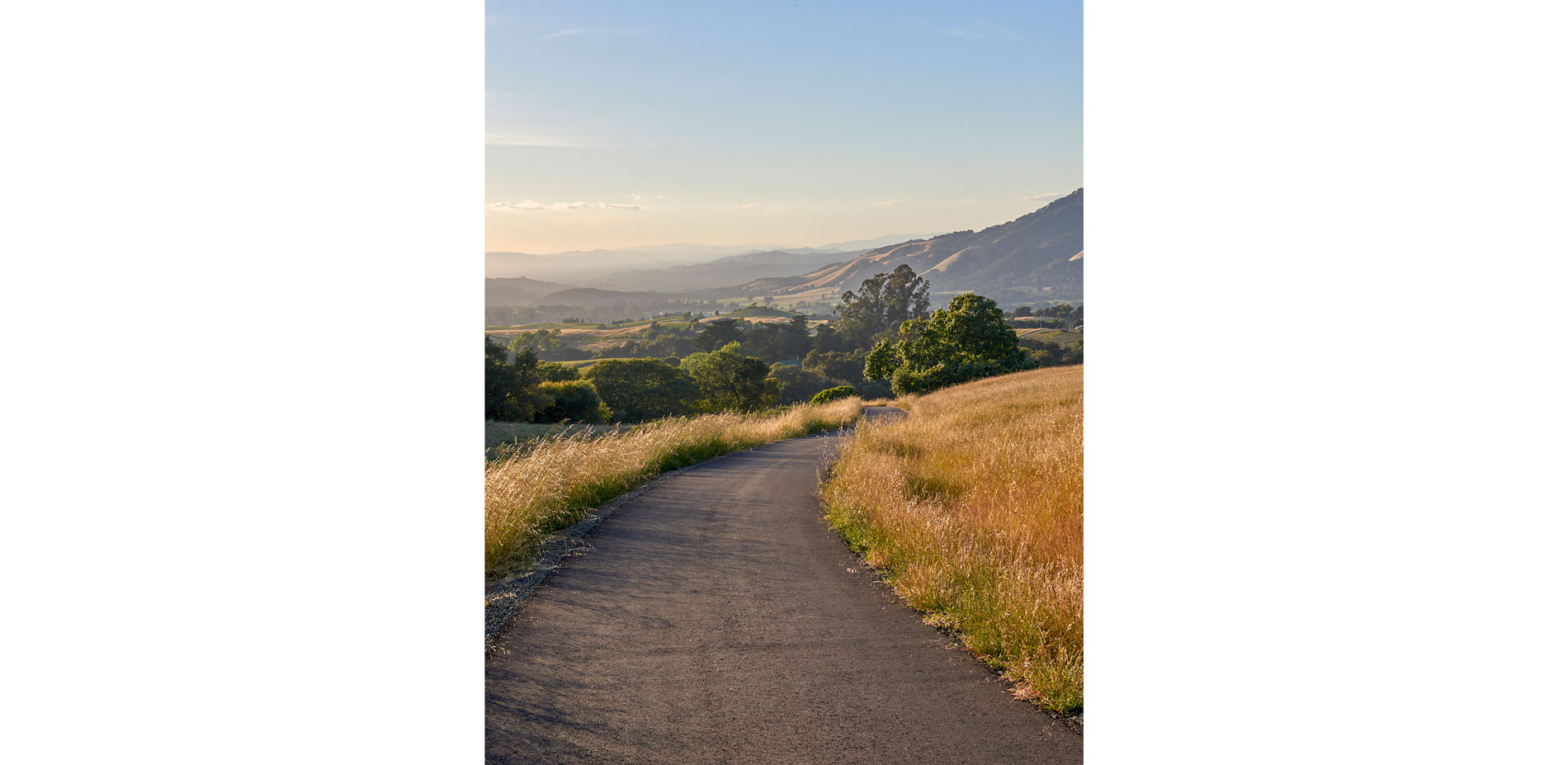 Sonoma Mountain Views