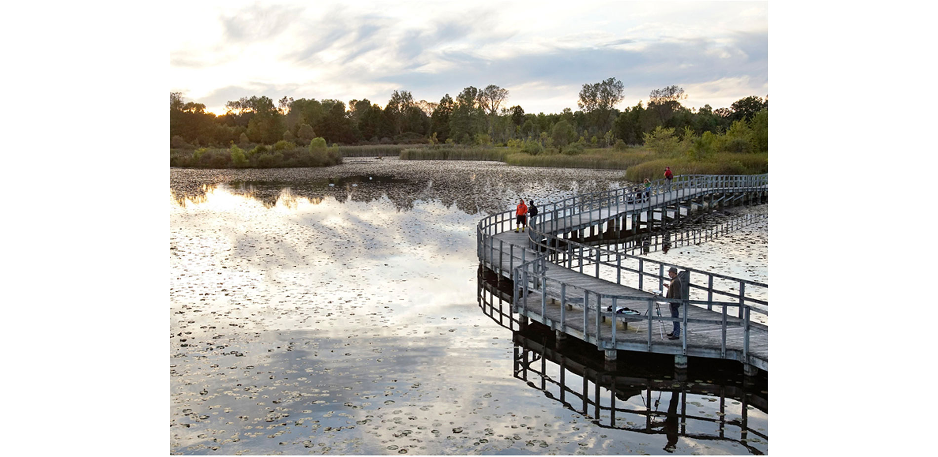 Crosswinds Marsh