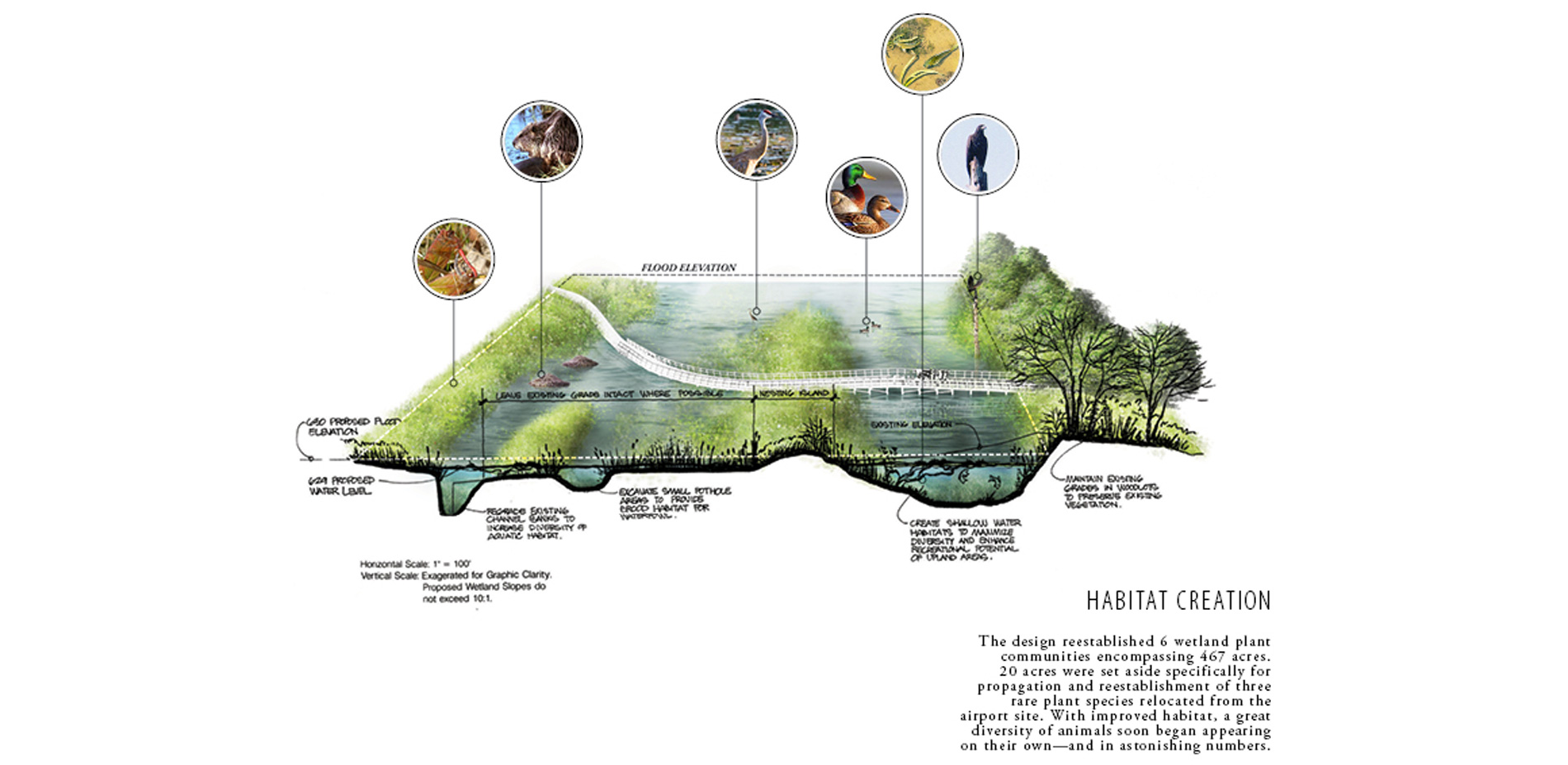 Habitat Creation