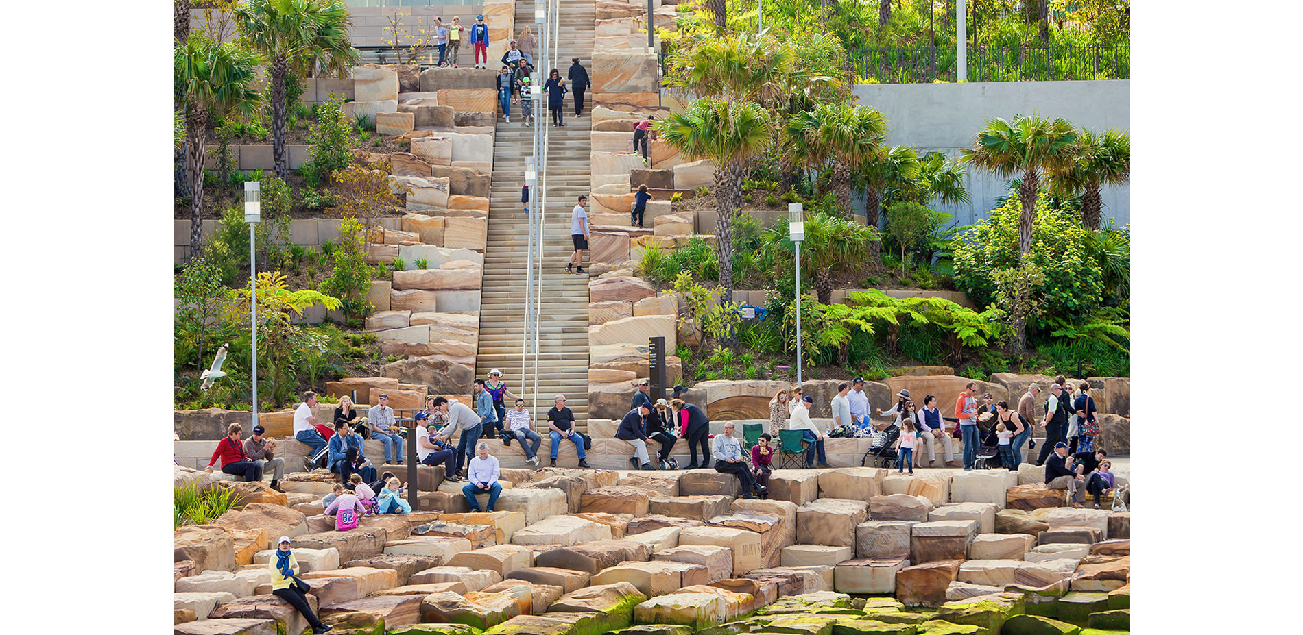 Barangaroo Reserve, Sydney