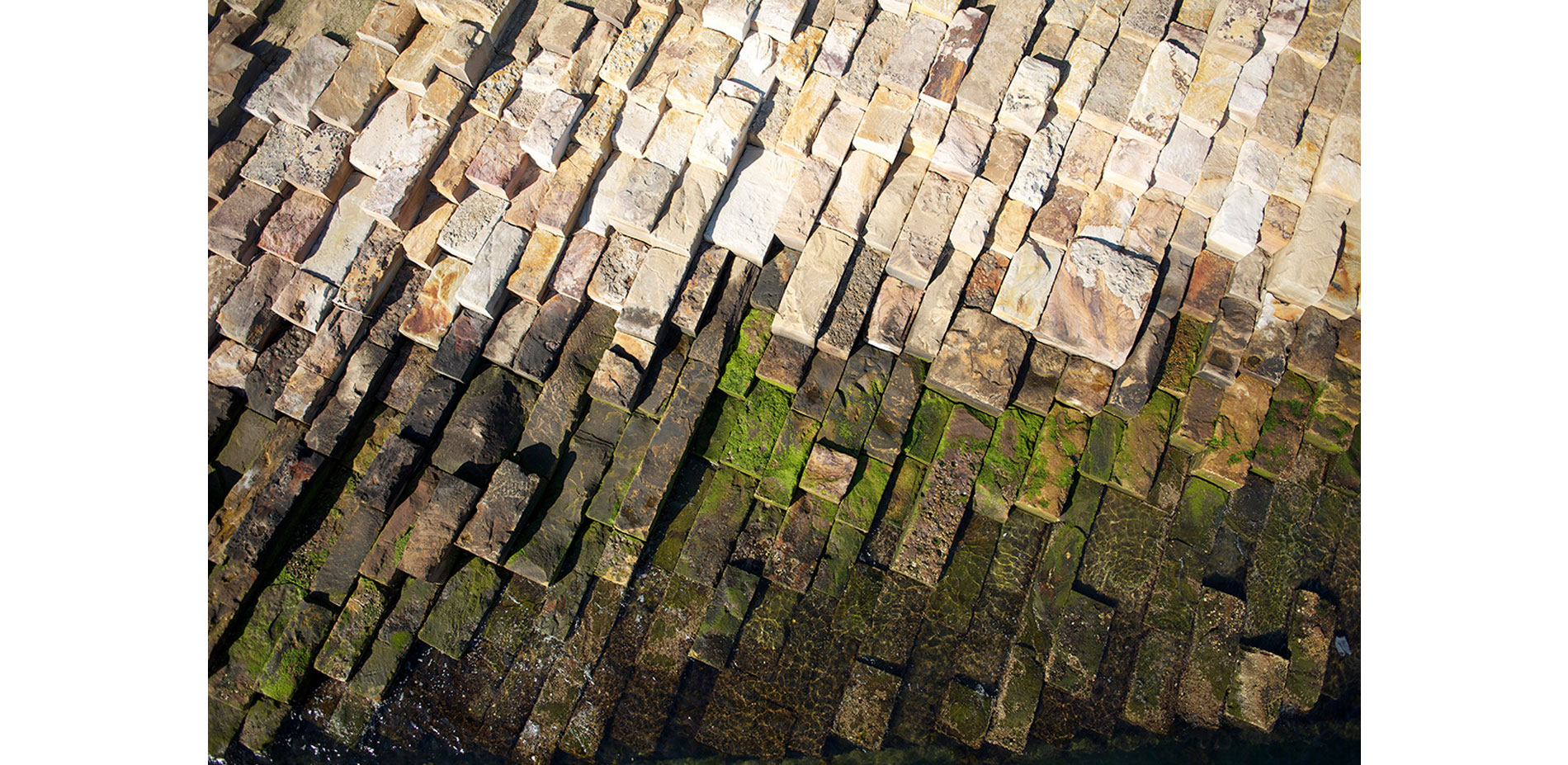 Barangaroo Reserve, Sydney