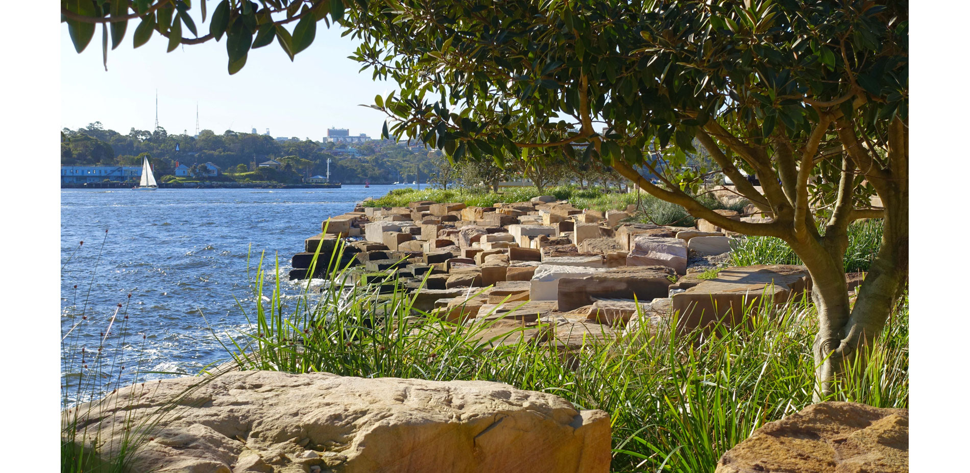 Barangaroo Reserve, Sydney