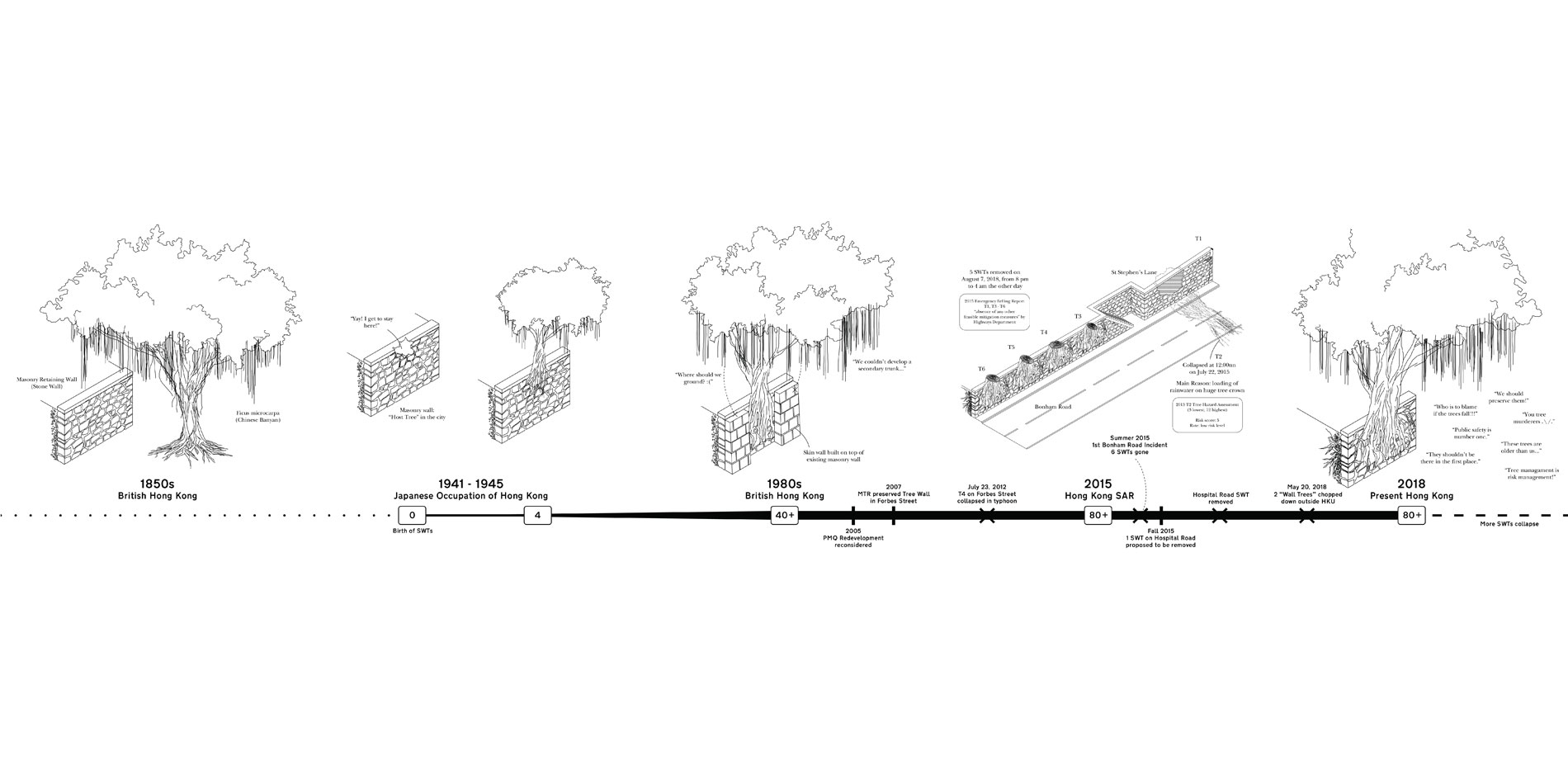 Stone Wall Tree - Development Timeline