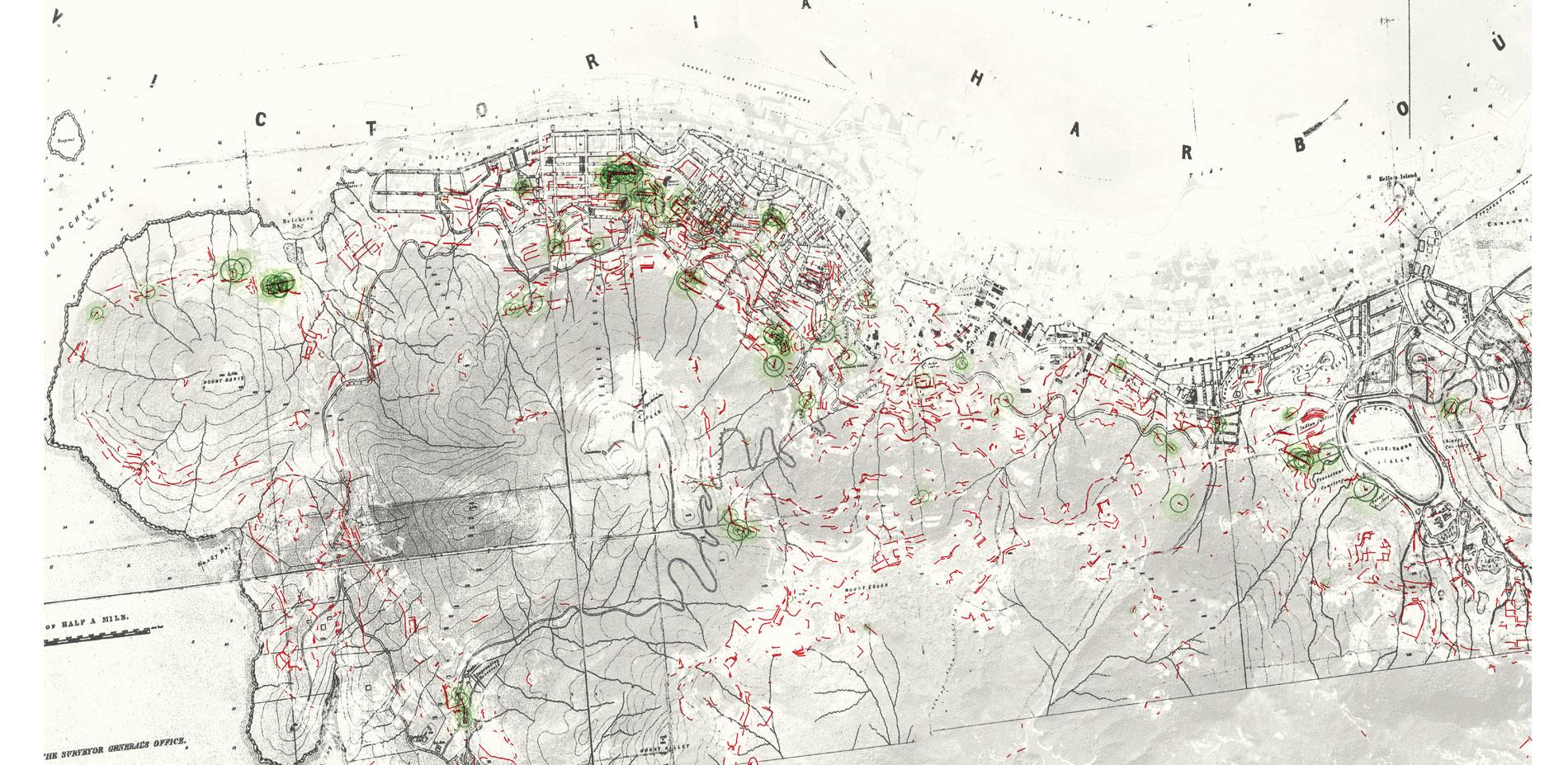 Context Map of Stone Wall Tree Distribution