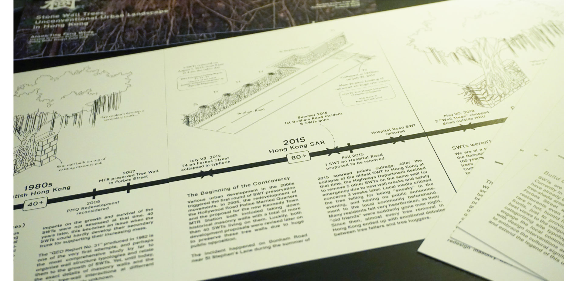 Timeline Info Pack