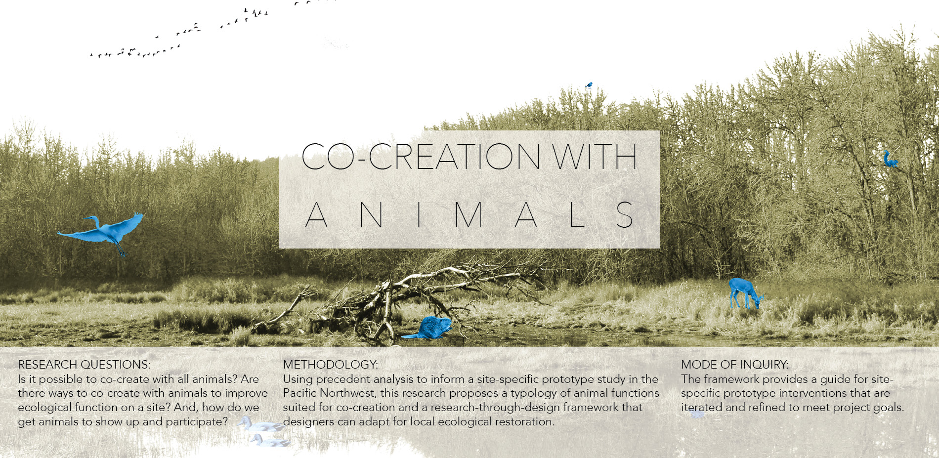 Co-creation with Animals | 2019 ASLA Student Awards