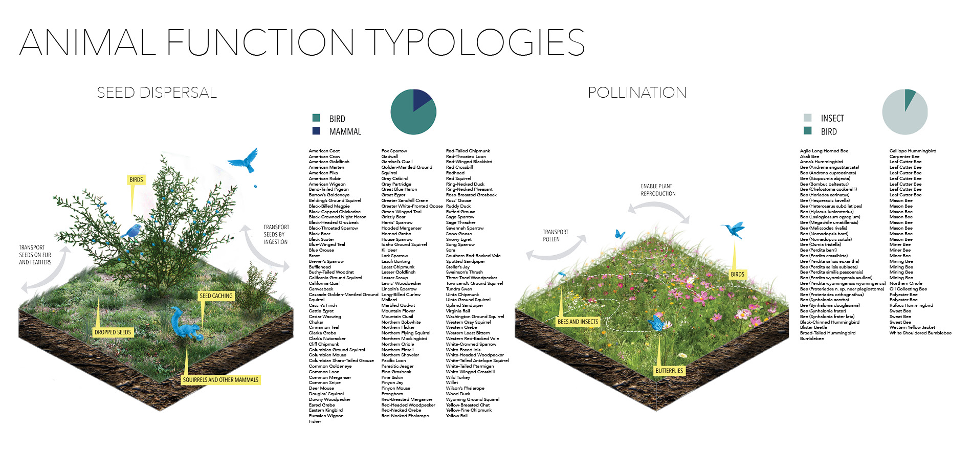 Animal Function Typologies