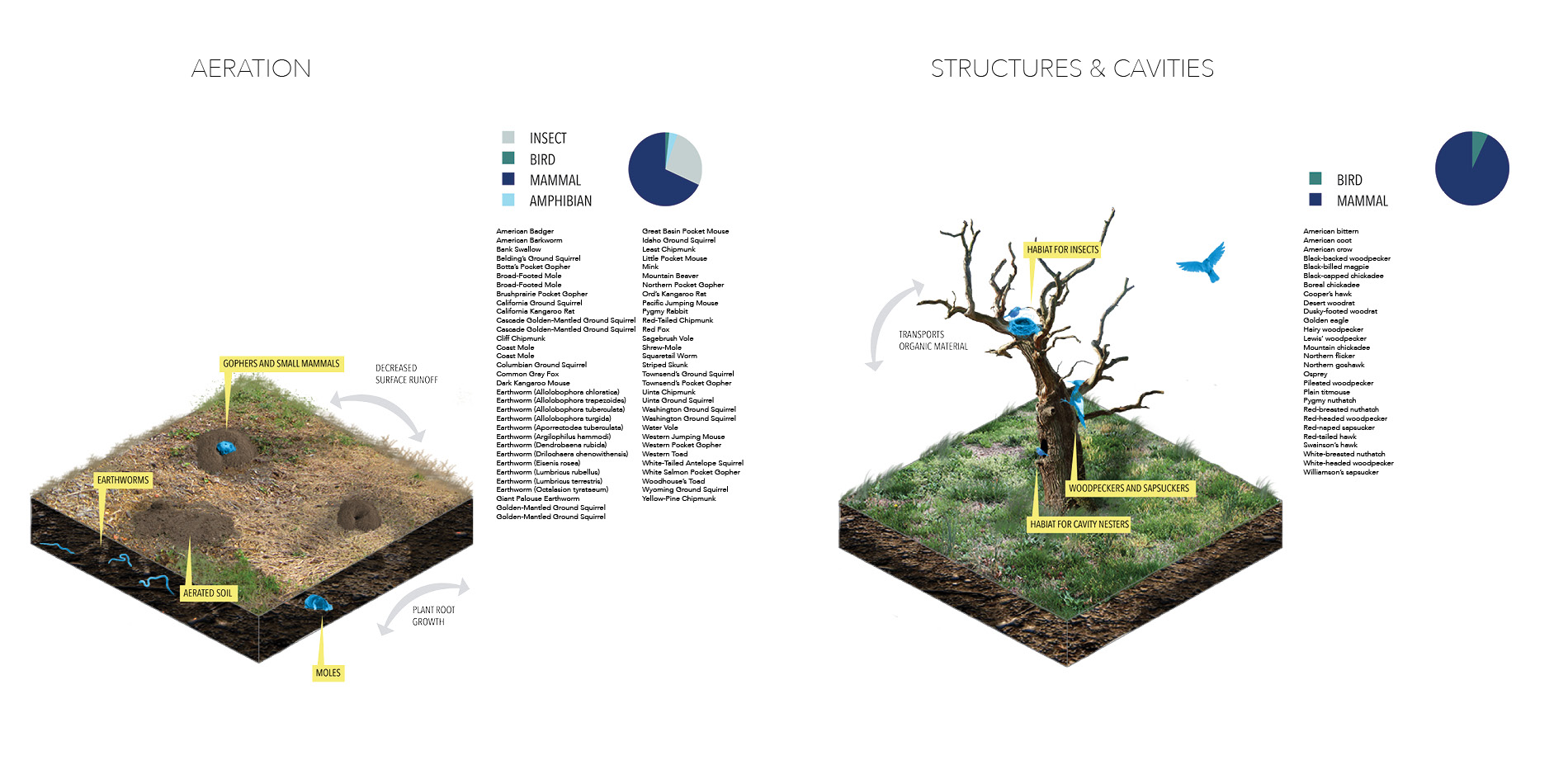 Animal Function Typologies