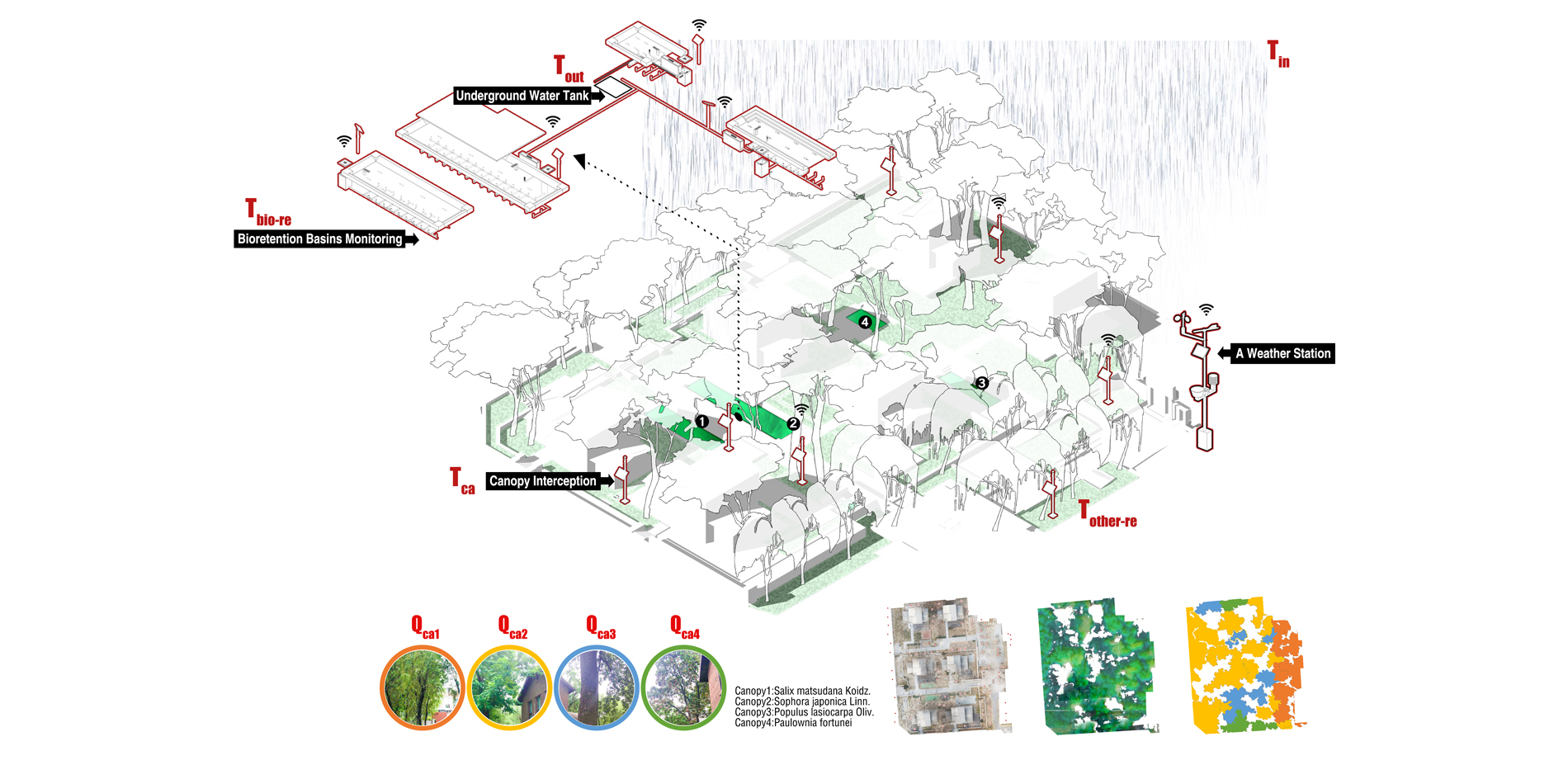 System and site plan