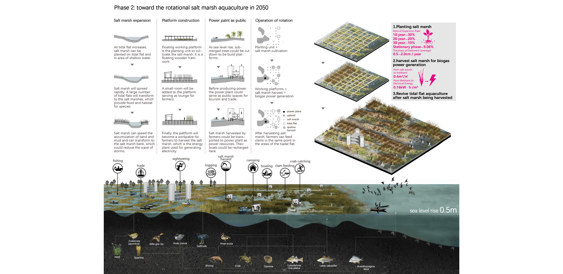 Phase 2:toward the rotational salt marsh aquaculture in 2050