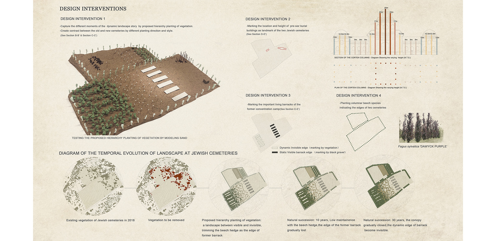 Site plan 1